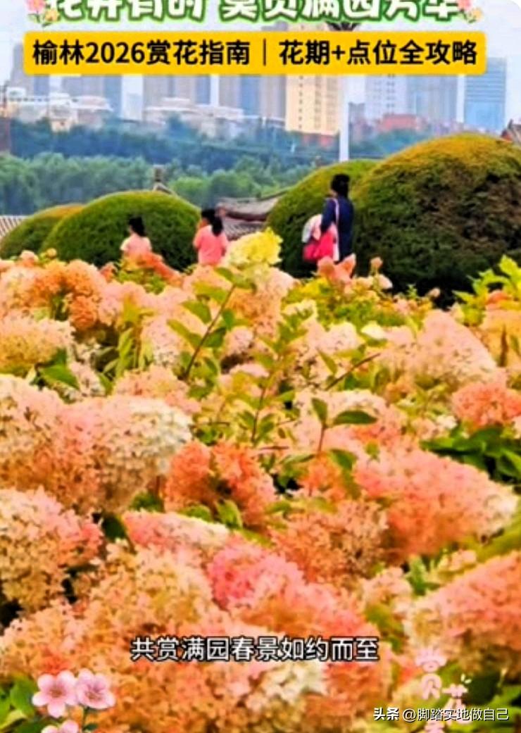 家人们快冲！榆林赏花时间表出来啦，榆溪河已经美爆了！🌸
 
榆林的春天，真的来