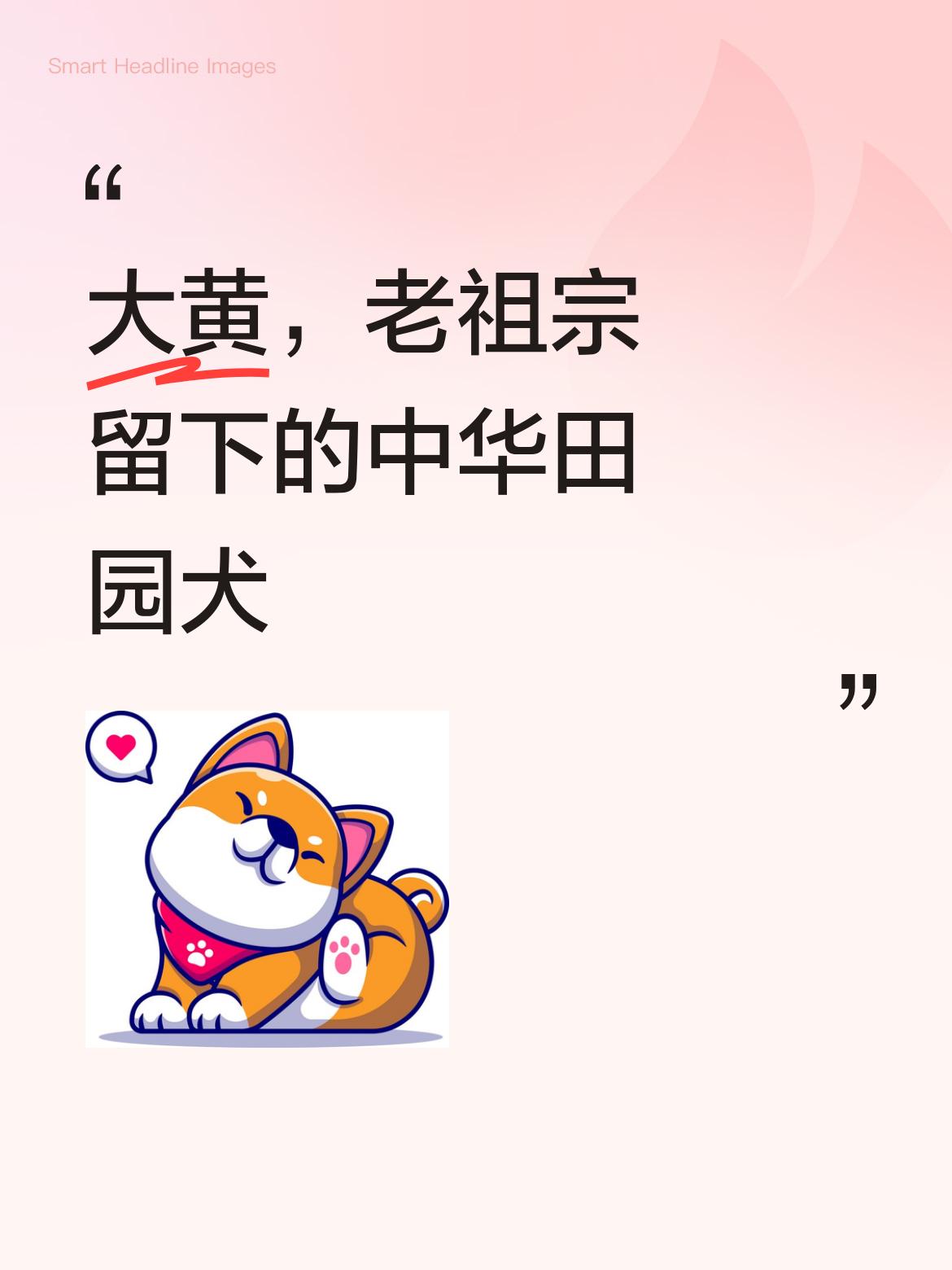 大黄是我们的中华田园犬，是老祖宗为我们留下来的天选之犬，忠诚又通人性，真的让人动