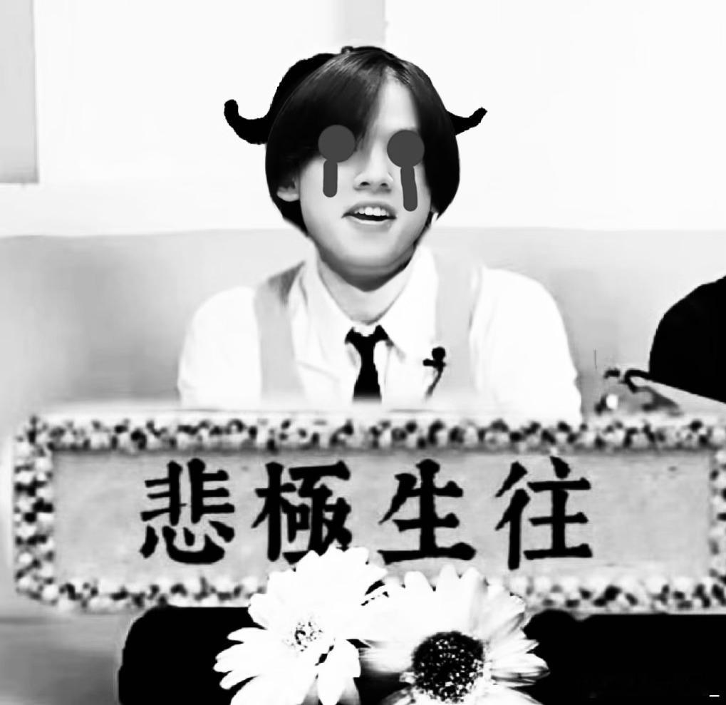 TOP登陆少年组合  宝宝们 这是我为福来做的应援图 我能当福来总统了吗 zzp