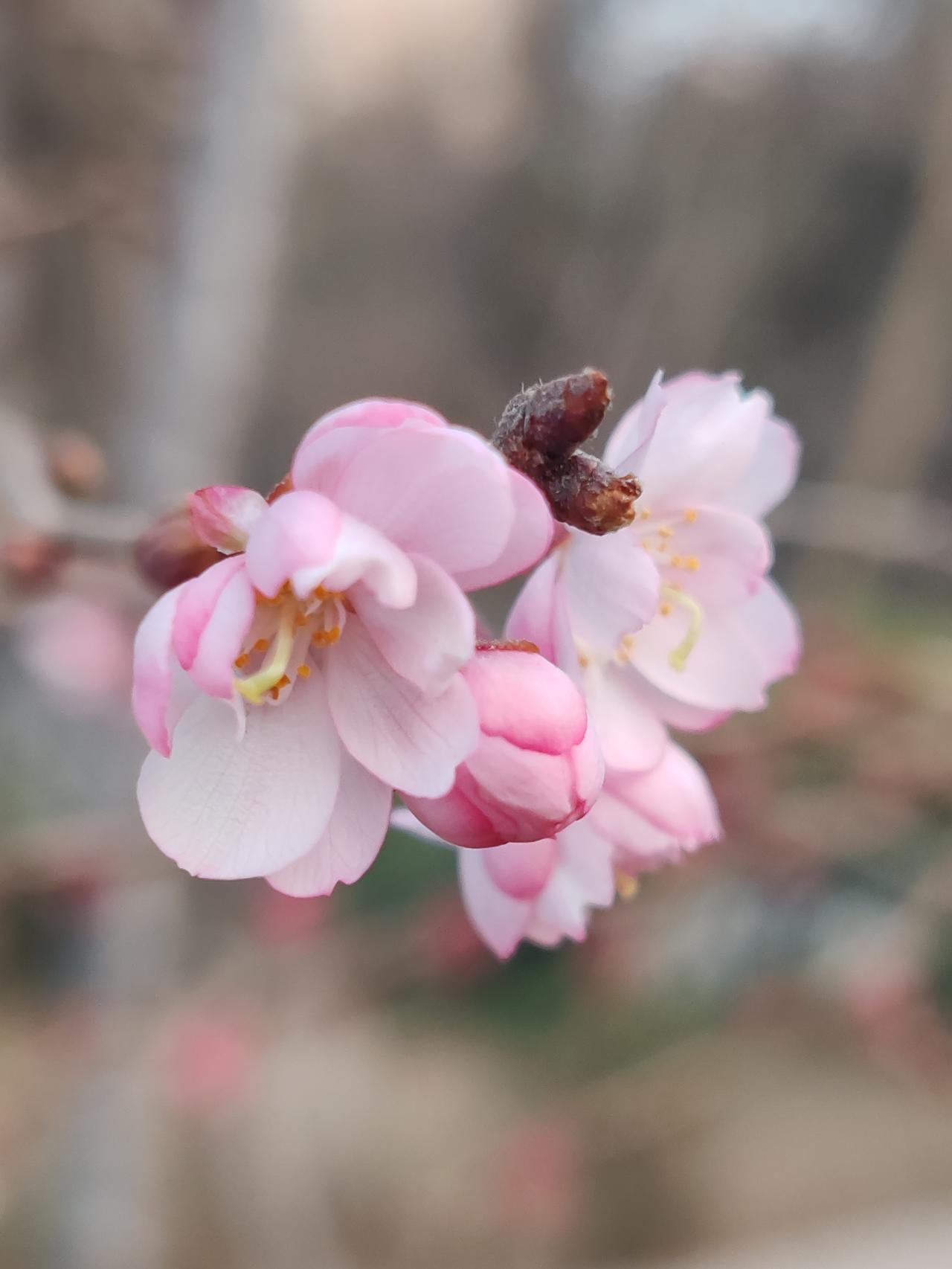 精辟，话说到点子上了。一旦落坑，你就什么也不是了。健康胜过千万存款。如今这社会，