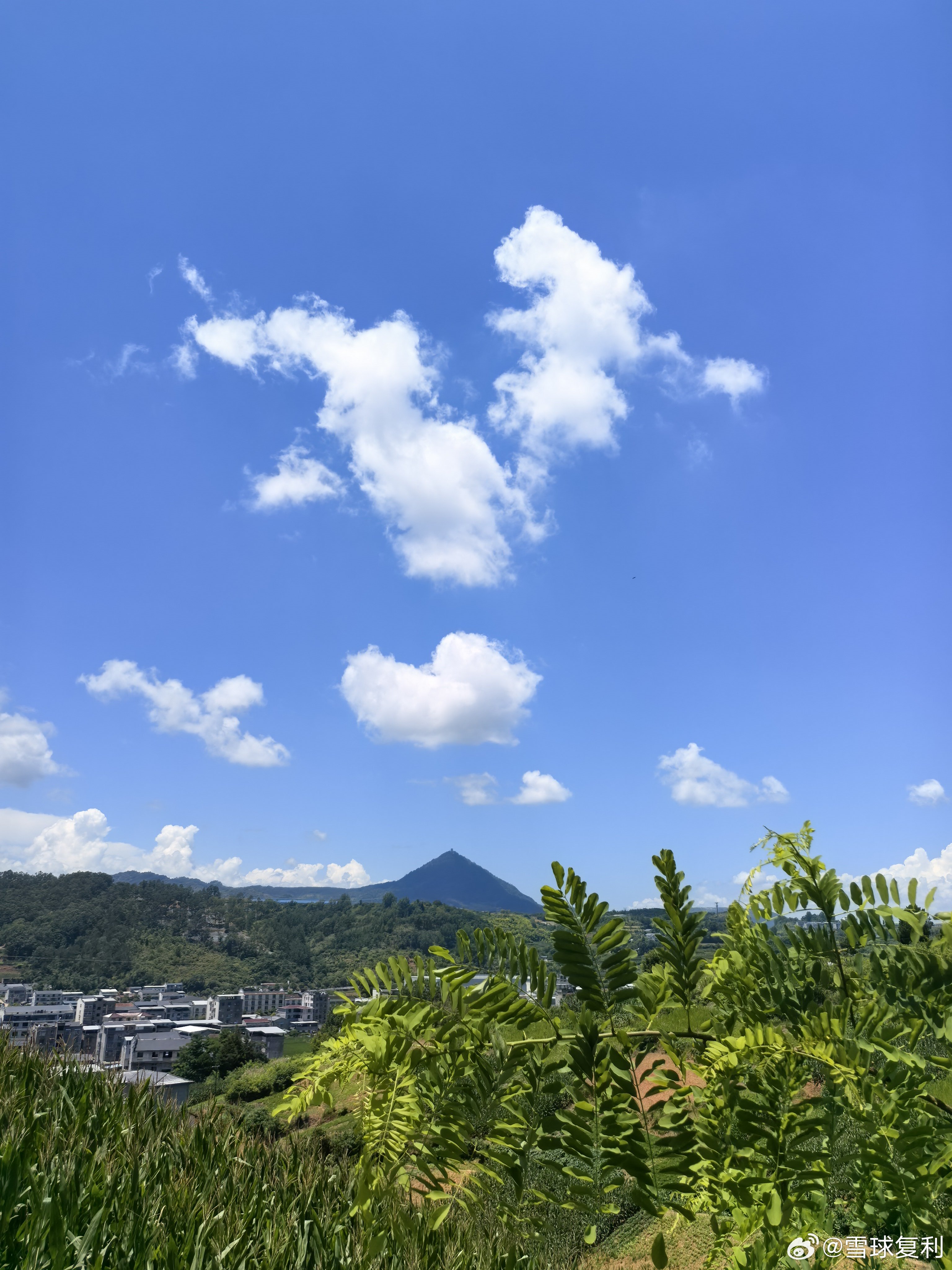 一片好运 十堰·竹山