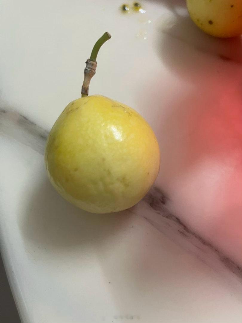 小朋友的脑回路[裂开]百香果，他说要帮他把里面的核挑出来………他不吃核[奥特曼]