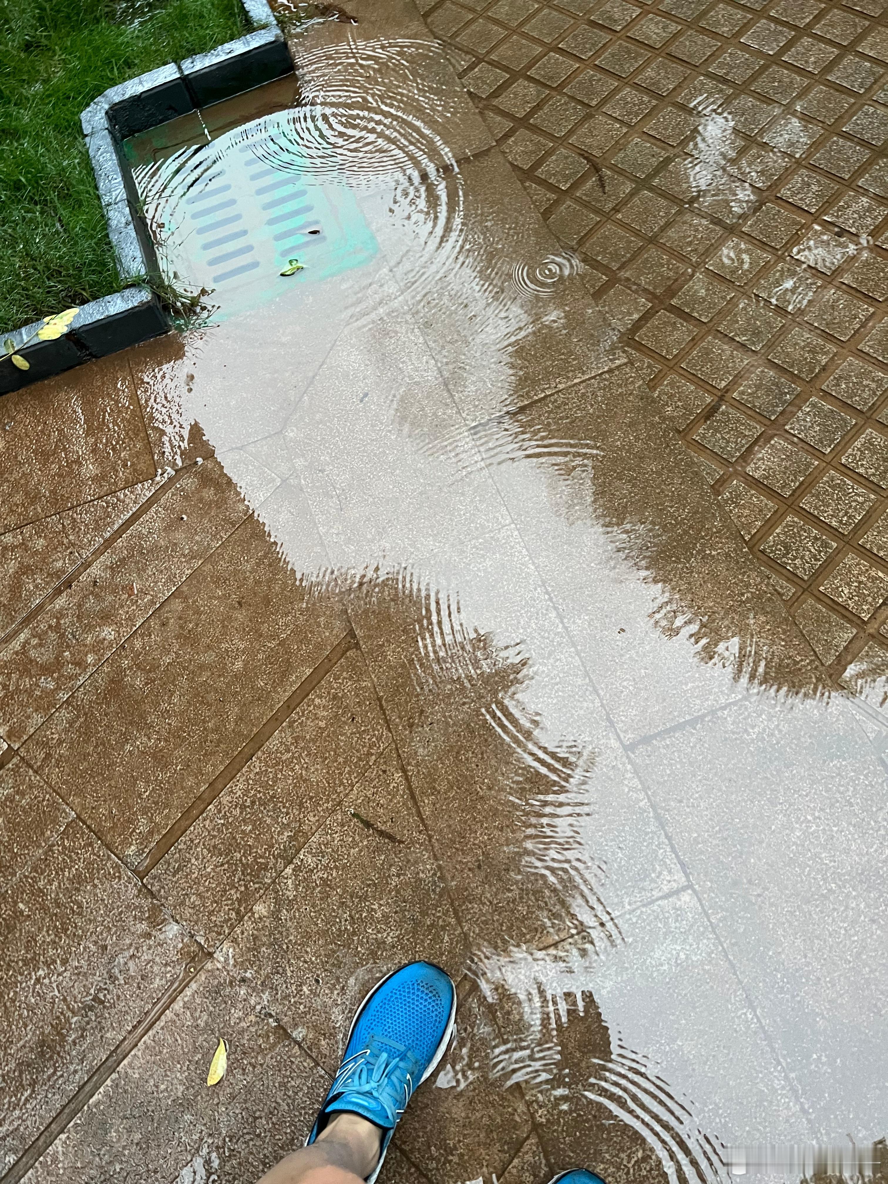 虽然航班两度取消，今天的雷雨也不知道犯了多大的仇狠似的，刚好有半小时小雨的空档。