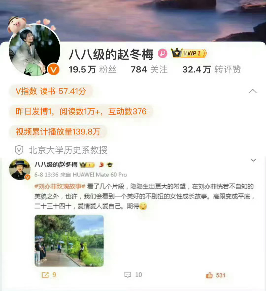 刘亦菲玫瑰的故事黄亦玫这一角色，从专业角度和大众角度来说都是获得了极高的评价。从