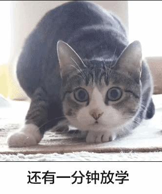 信我的，不要和它对视