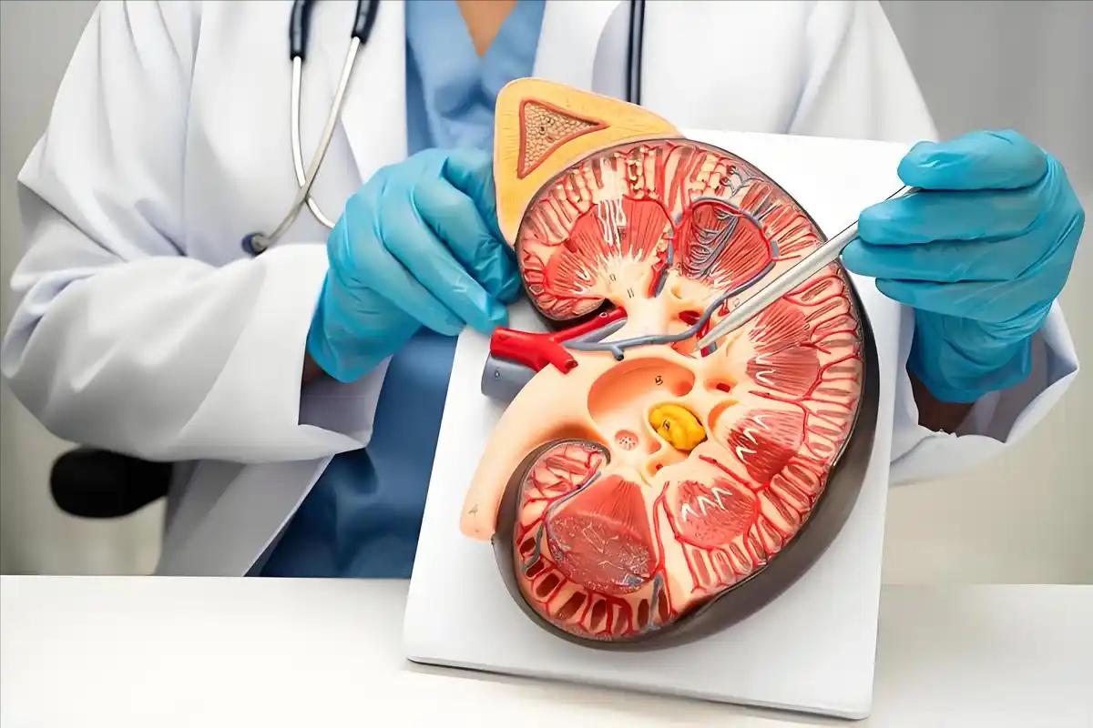 每天多喝一口这种水，肾脏年轻十岁！央视报道的抗衰秘诀曝光
 
肾脏老了，整个人都