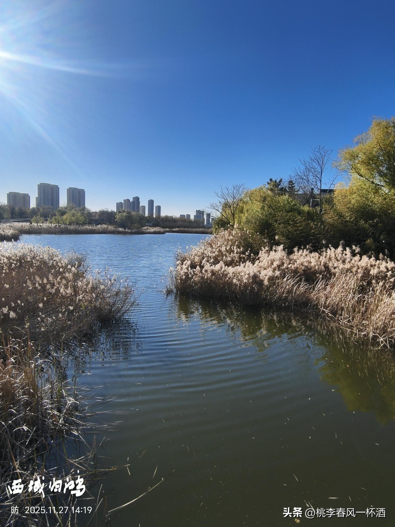 分享手机里随手拍的风景照片东营的居住环境在山东数一数二。