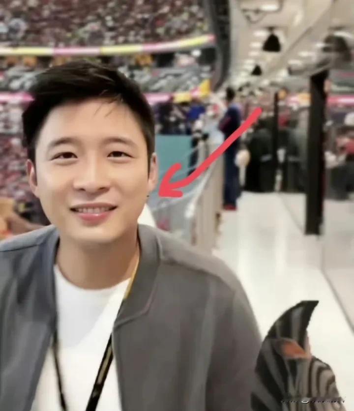 哥哥霍启刚已经2个小孩了，弟弟霍启仁也求婚成功了，而三兄弟中最帅气的霍启山还是单