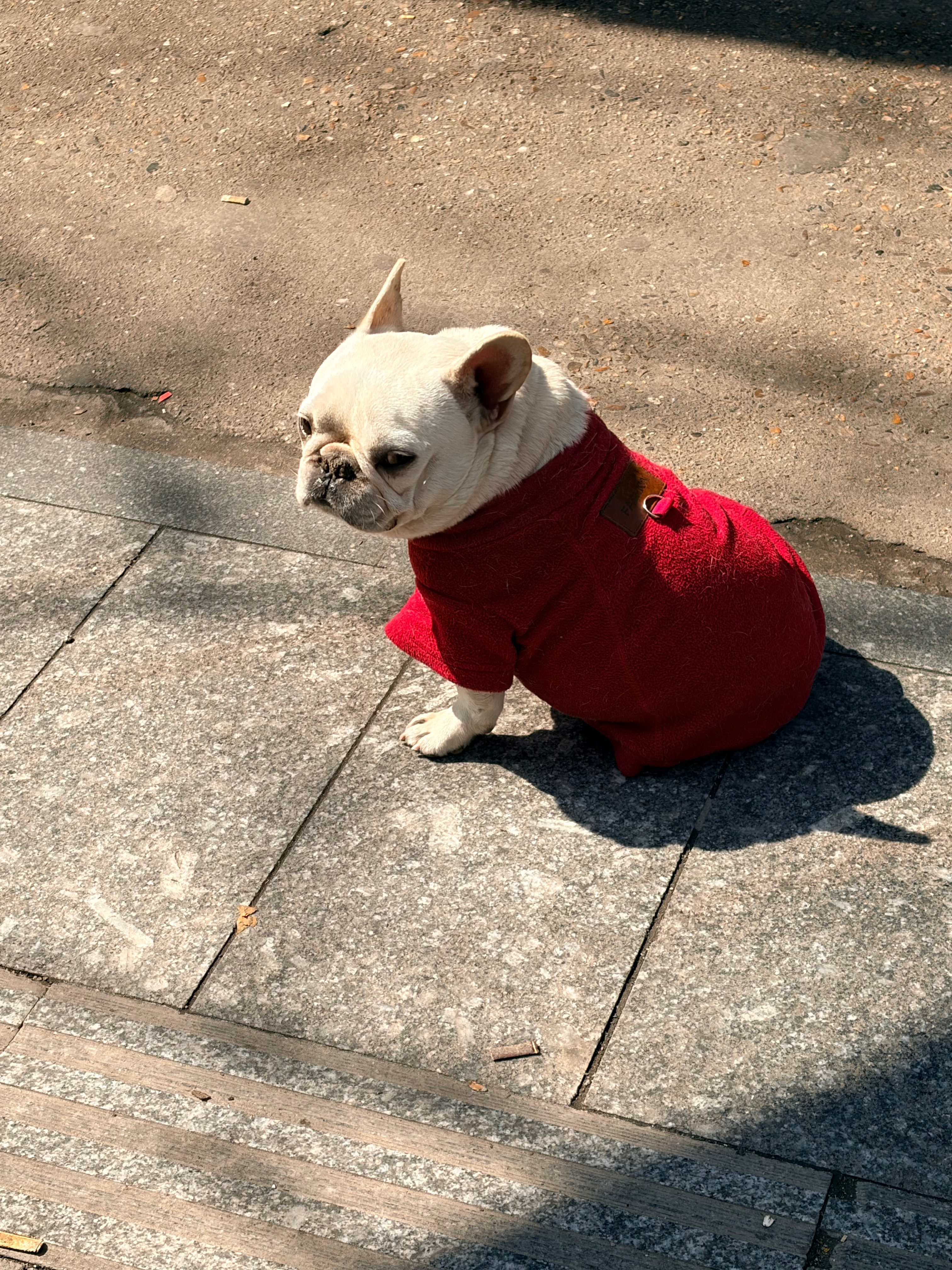 天气真好啊大家记得拿徽章！头号玩家apple watch