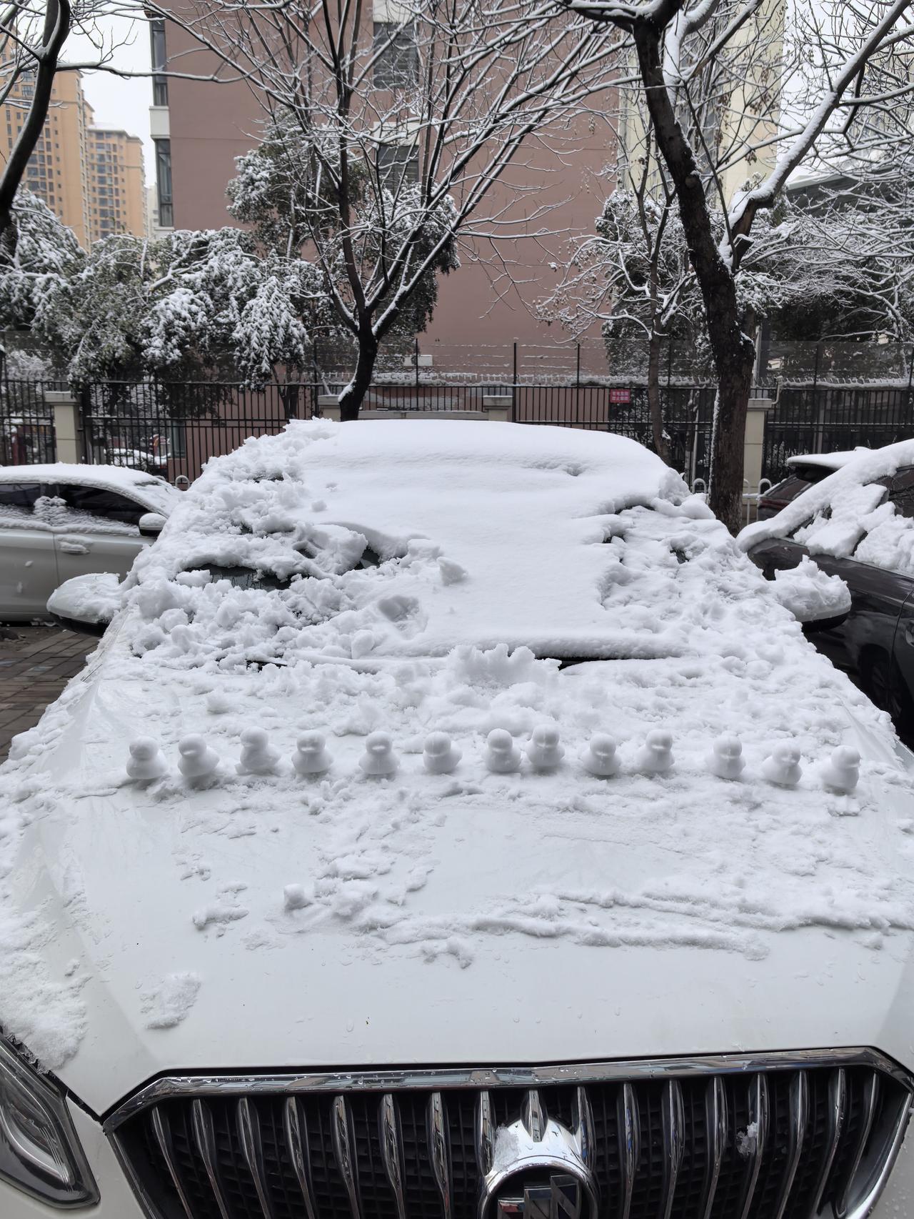 今日份快乐，好简单

今日一大清早起床，带途途去迎接2026年第一天的跨年雪。途