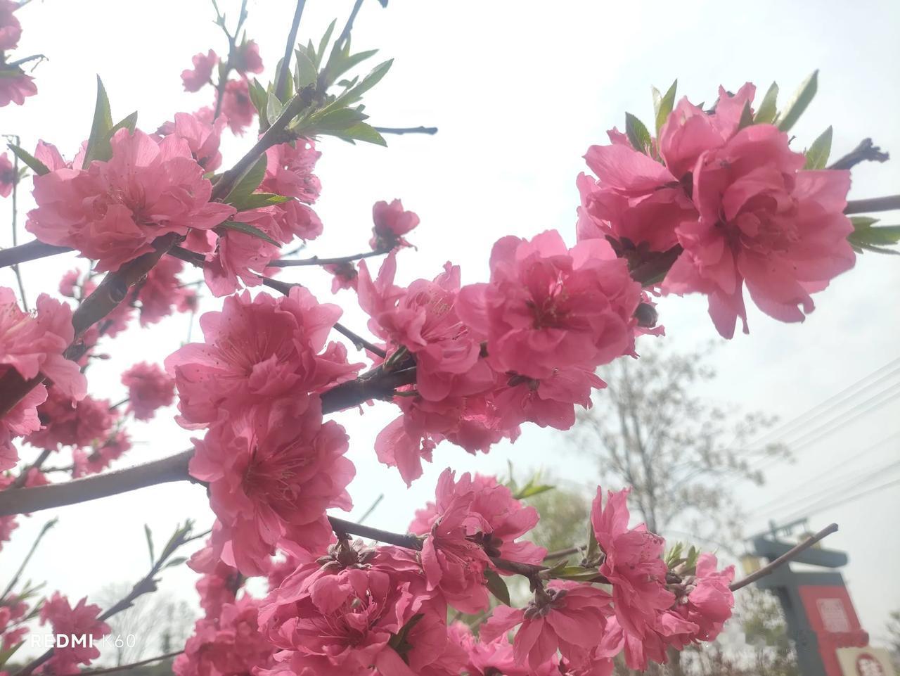 对金融监管过度干预的一点看法
中国人民大学国家金融研究院院长吴晓求近日在2025