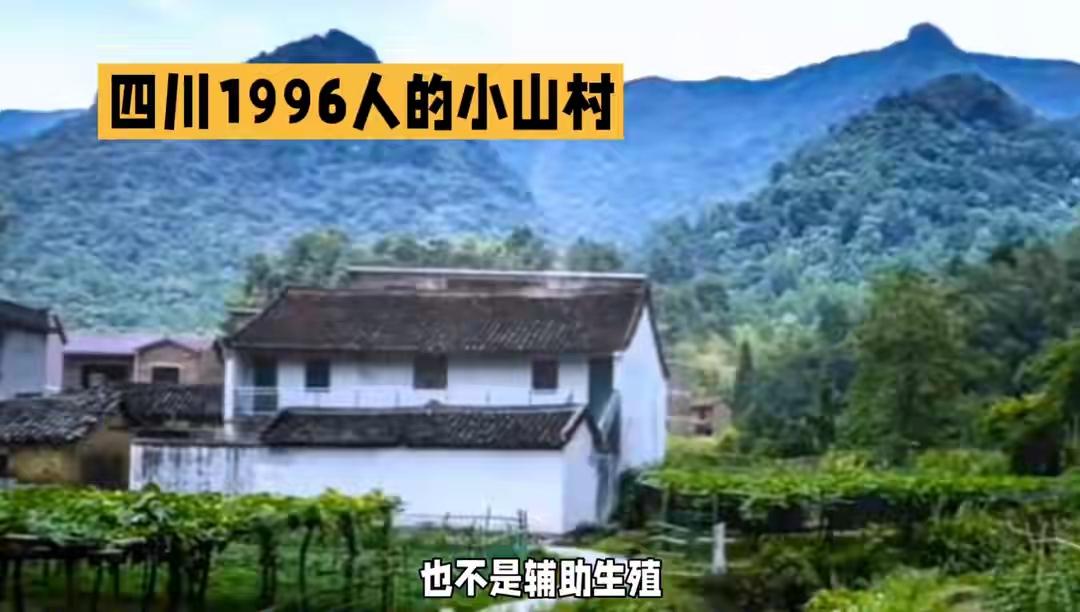 真的大开眼界！四川眉山有个神奇的小山村，全村不到2000人，居然足足有33对双胞
