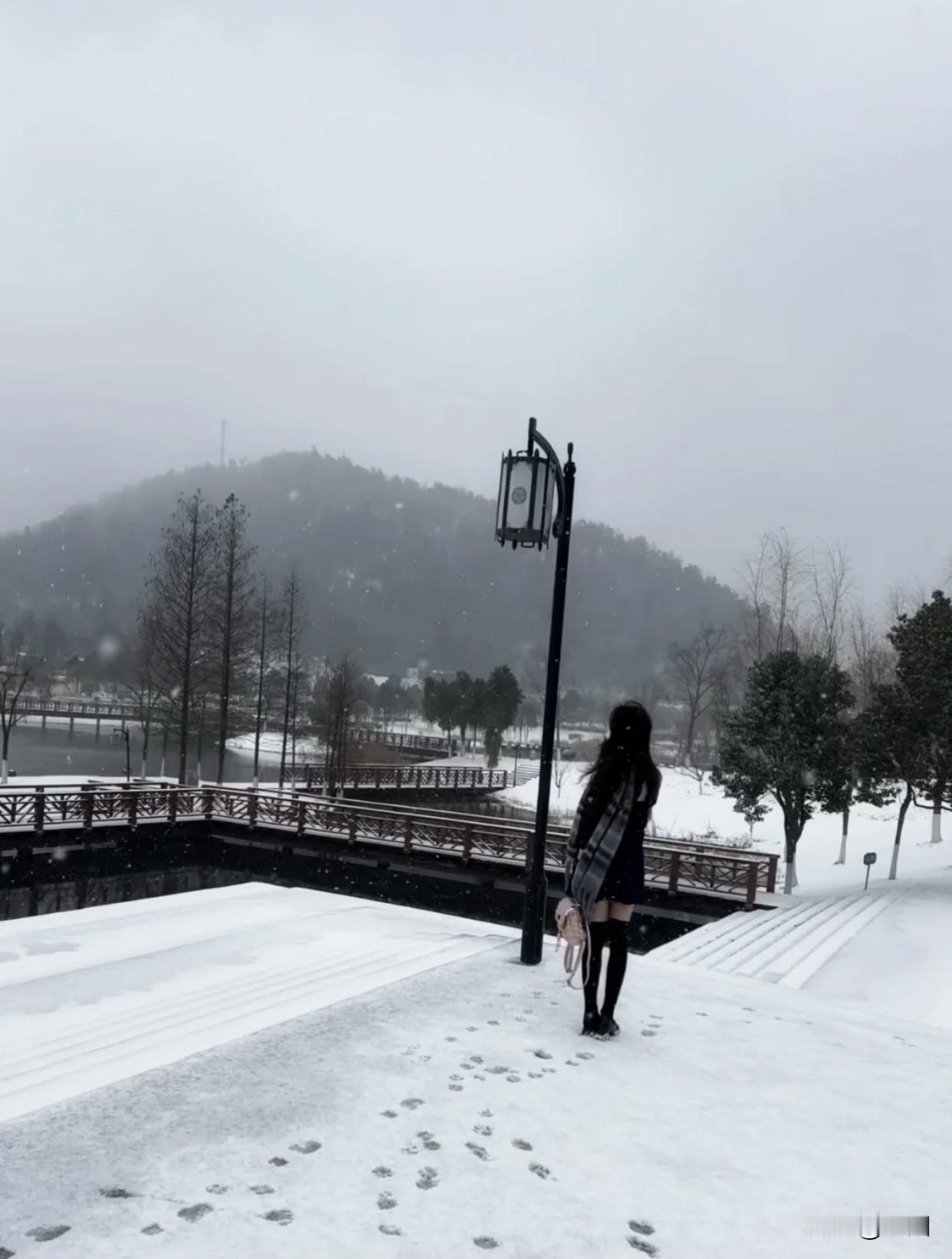 分享一组雪照片雪后森林公园的雪景，雪美人更美！