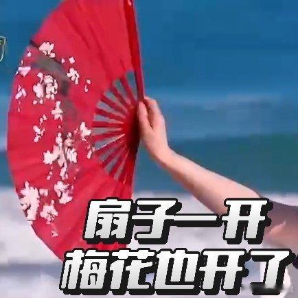 陈德容扇我回90年代陈德容在浪姐舞台上的表现，如同90年代的一抹亮色。那扇子一开