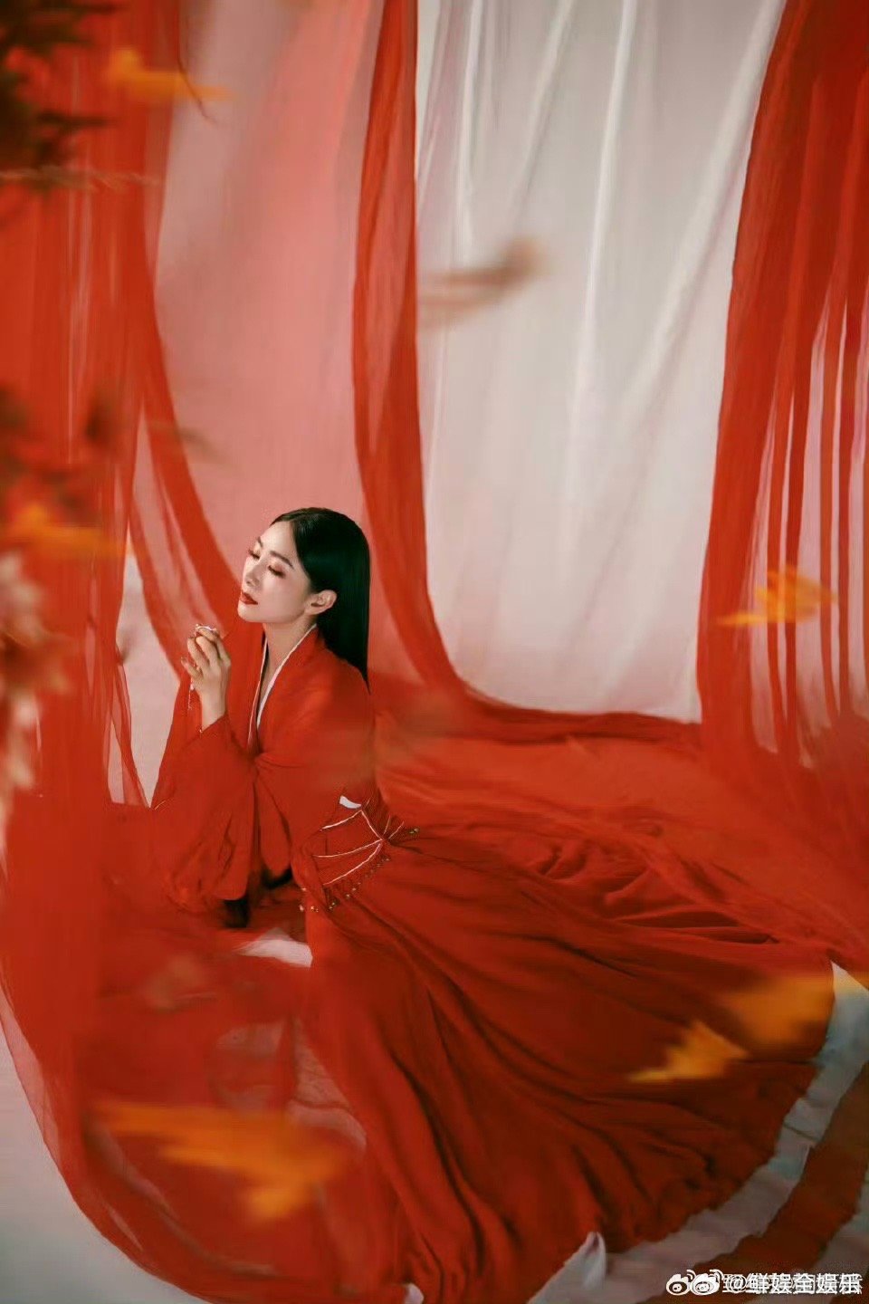 安萧鸟正式成团！萧蔷优雅+安崎唱跳+陶昕然演技，梦幻联动拉满🌟萧蔷安崎陶昕然组