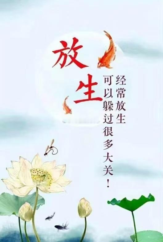 放生祈福，为家人孩童添福纳祥。点滴善行，汇聚无量功德。放生即是护生，可消灾解难、