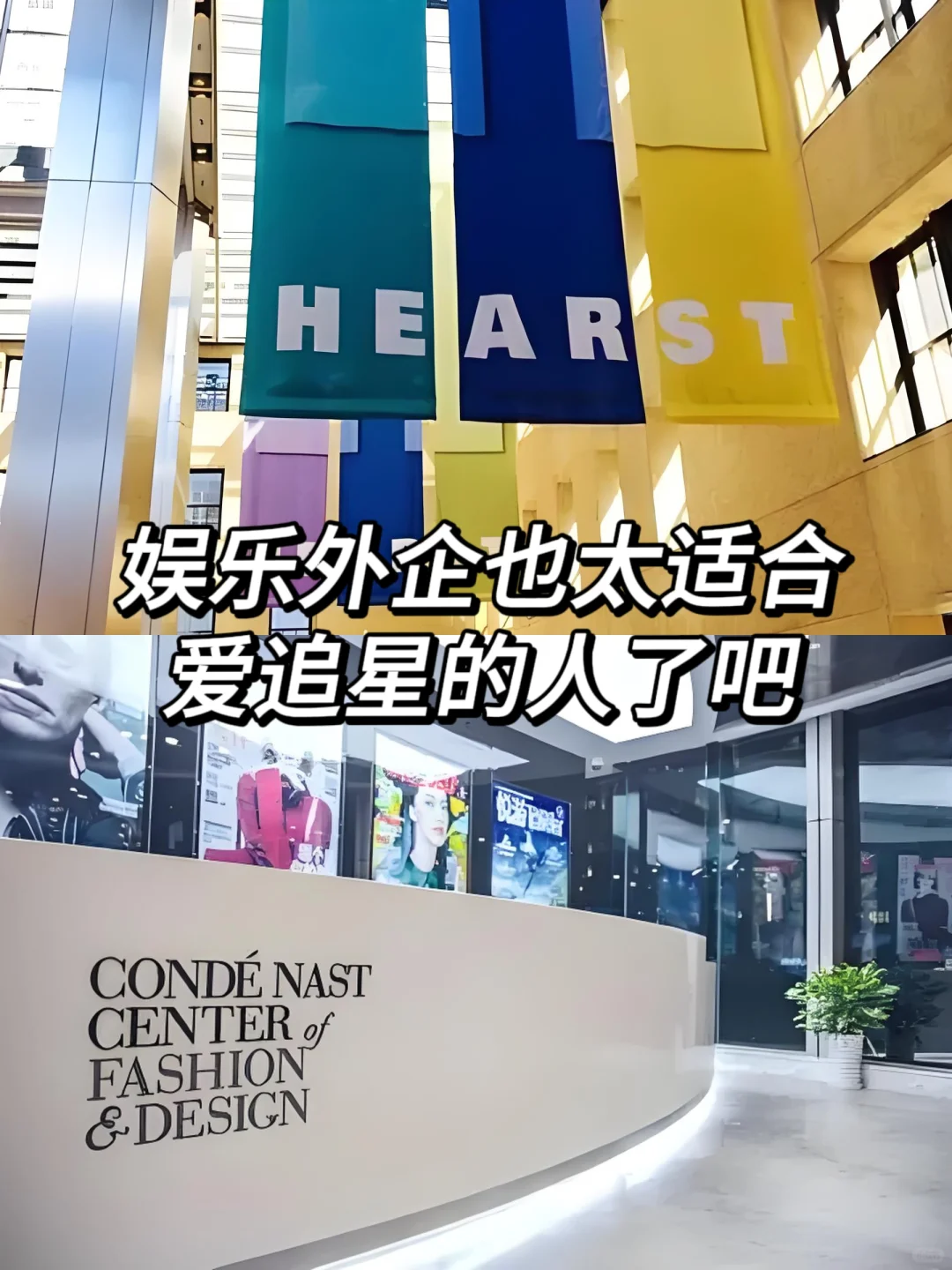 娱乐外企也太适合爱追星的人了吧！