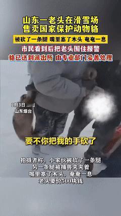 必须严惩！近日山东烟台，男子和朋友正在滑雪场滑雪，这时身边走过来一个老头，老头的