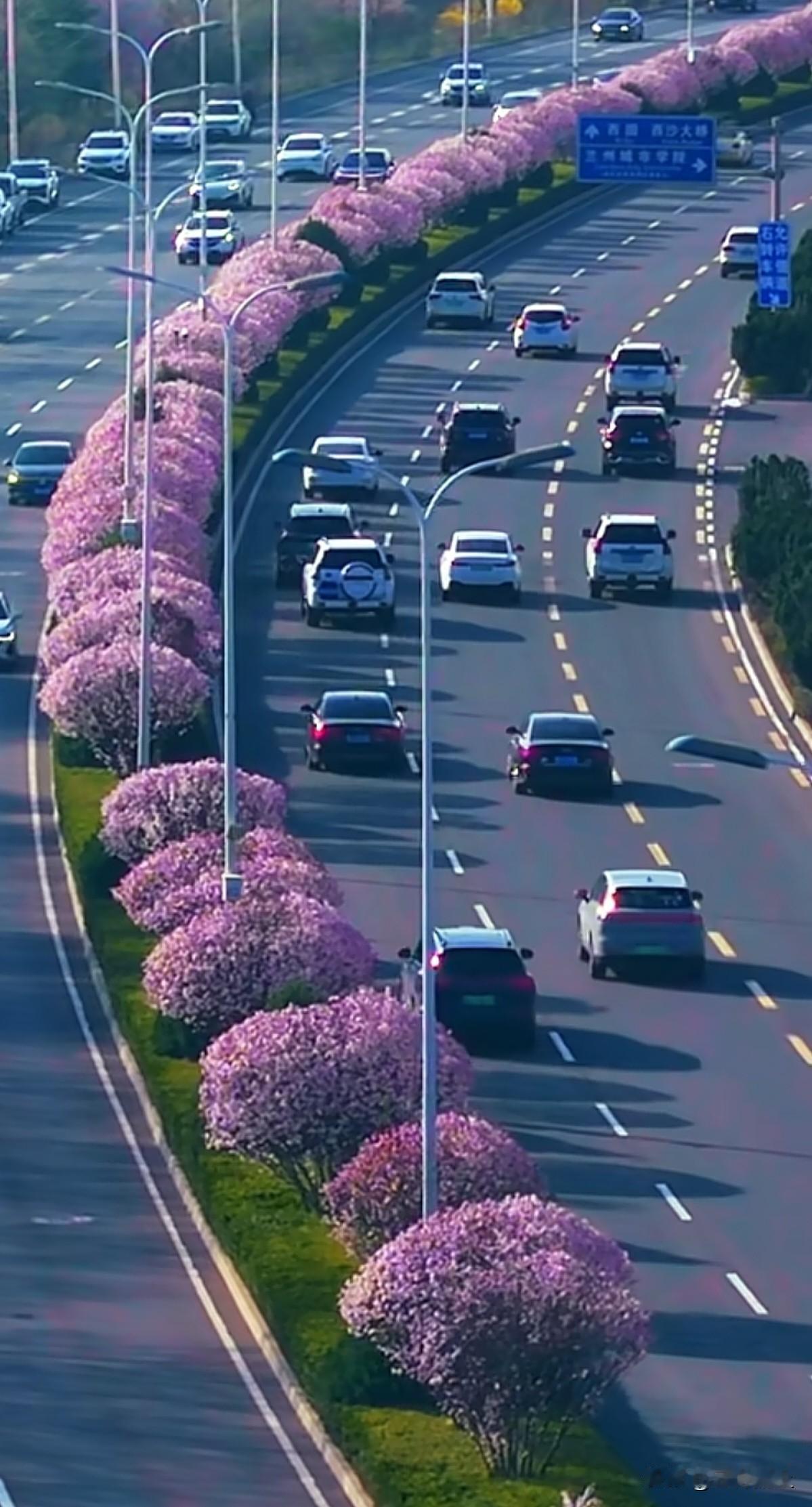 这个角度拍兰州太有意境了！谁知道这是兰州市哪个地方？[抠鼻][抠鼻][抠鼻]