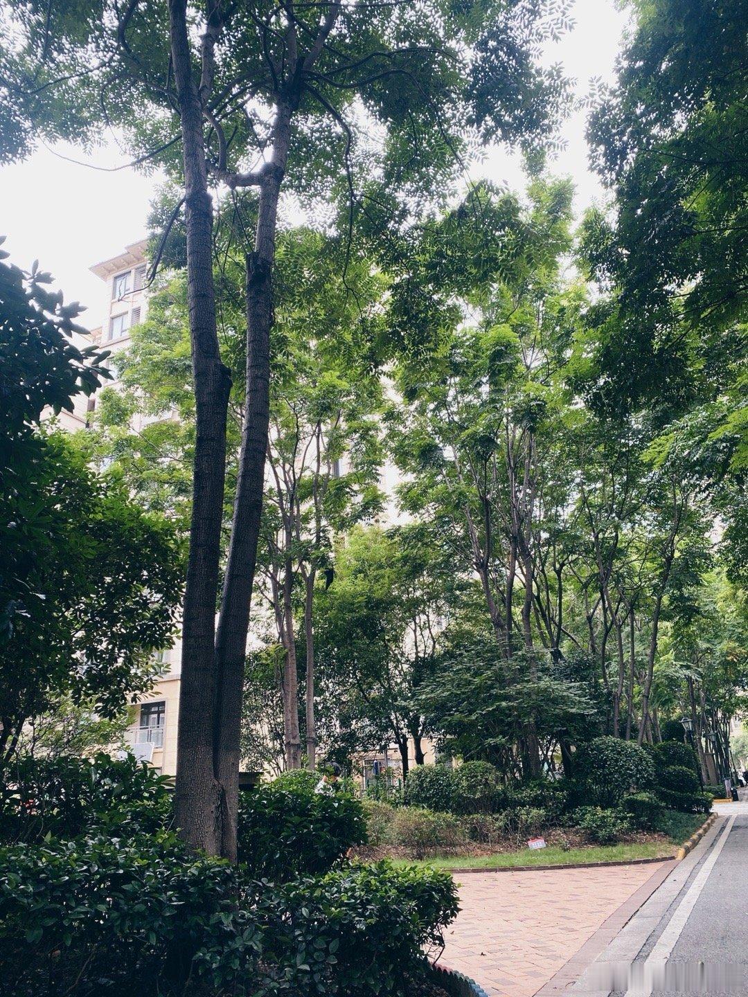 早上好，今天好凉快呀～ 