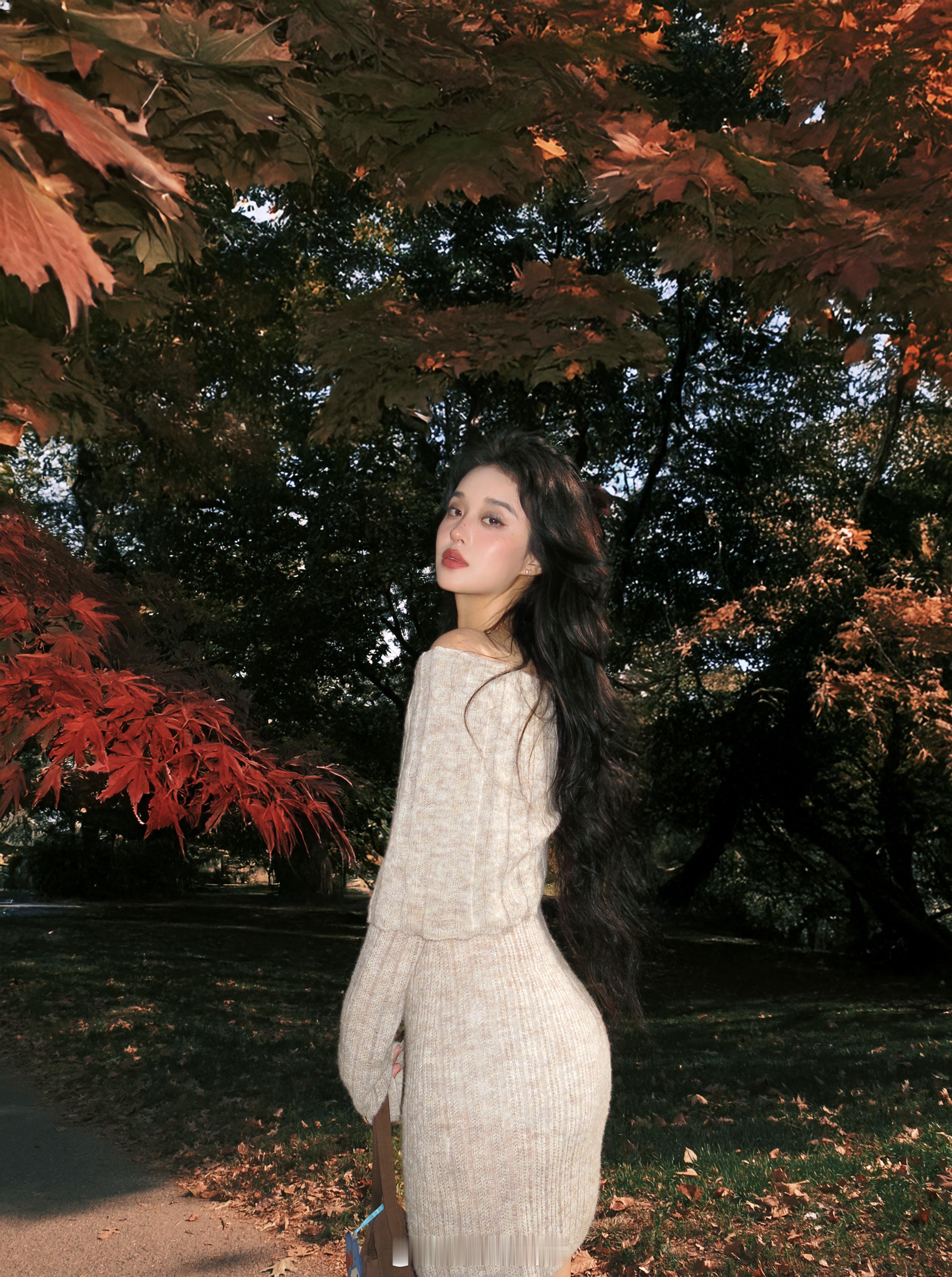 🍁 ​​​