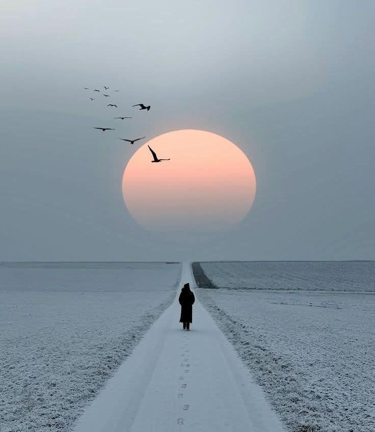 你迫使许多人重新认识你；他们把这视为你的残酷。你走进他们，又从他们身旁走过，这令