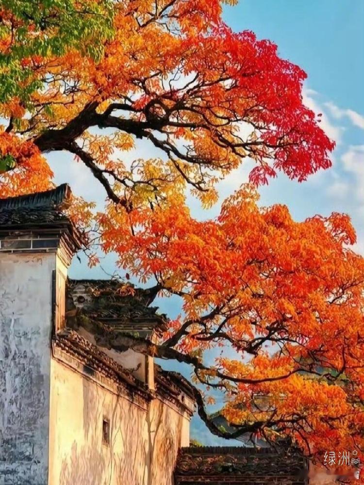 远书归梦两悠悠，只有空床敌素秋  ​​​