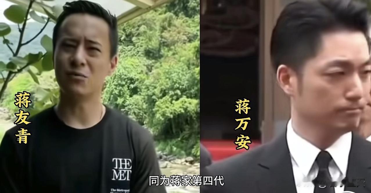 民进党当局最近推起了去蒋化浪潮，凡是摆放的蒋介石画像的每一个地方，都会被逐个移除