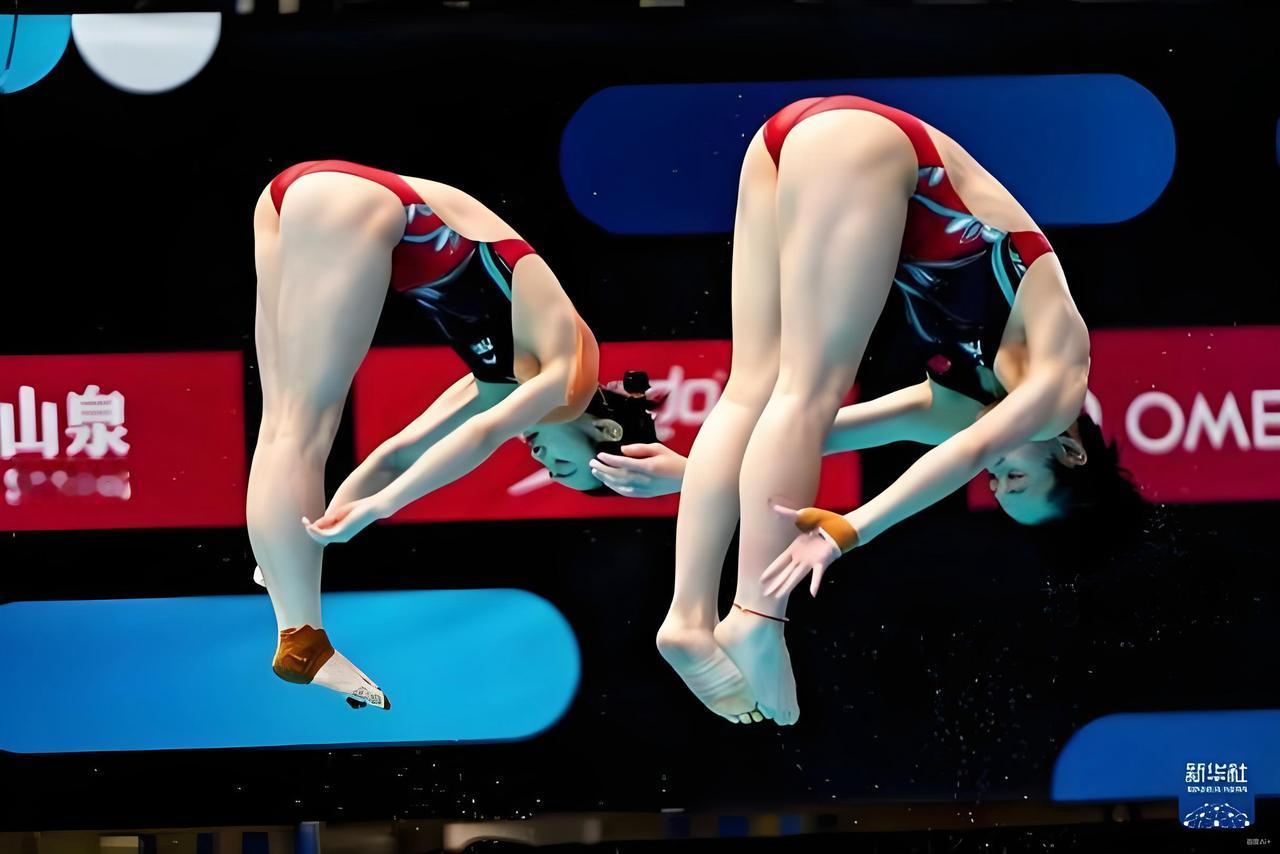 全红婵/王伟莹晋级十五运跳水女双10米台决赛

11月6日上午，十五运会跳水女子