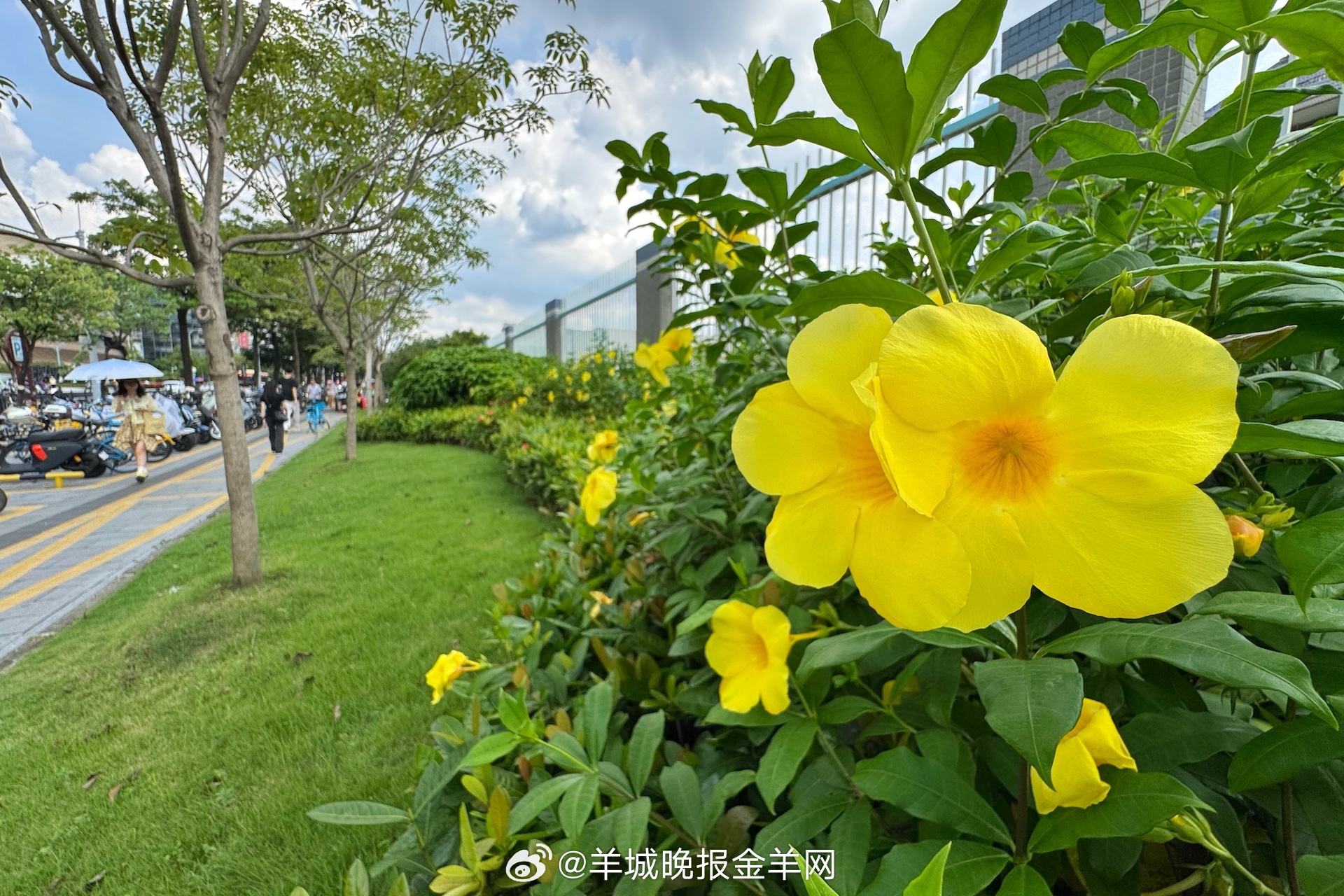 #早安#微小的改变也许不会让你立刻焕然一新，但只要坚持去做，就能在一点一滴中看到