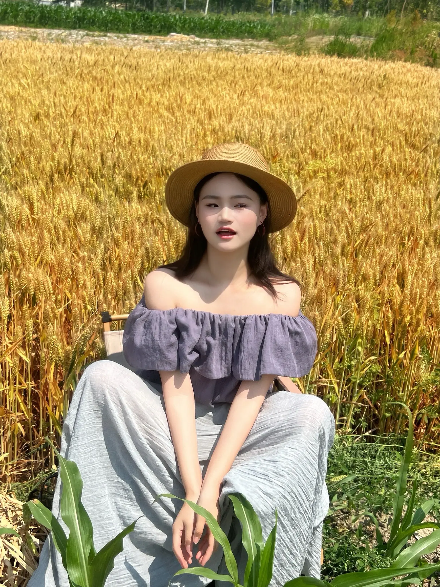 去麦田吧。感受风和阳光 感受美好和自由