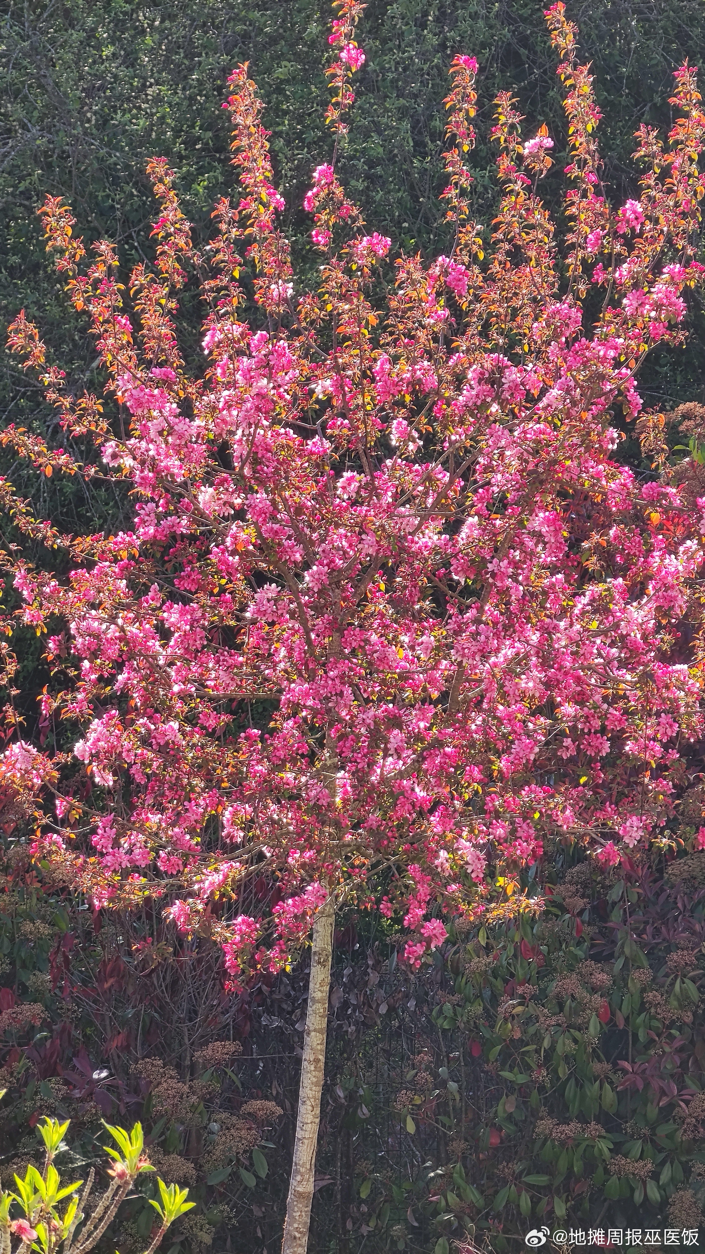 一年一度好看季节