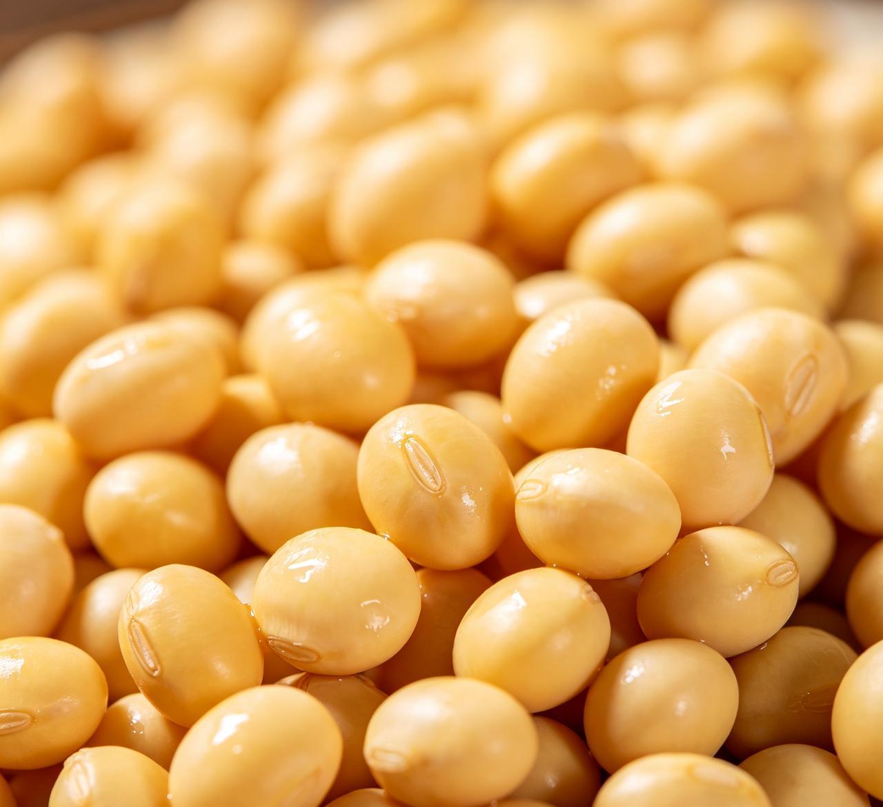 “经研究发现黄豆在14小时内能溶解百分之五十血脂，你相信吗？”

       