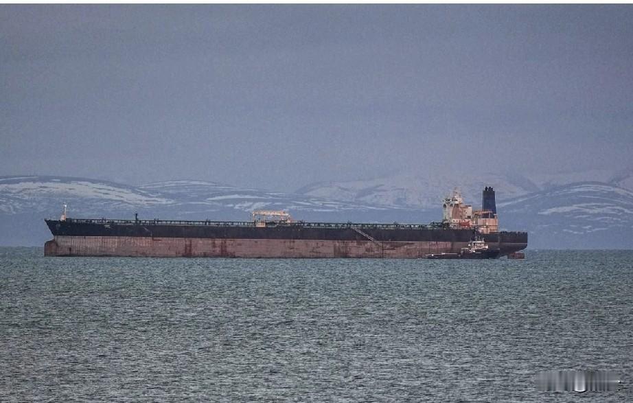 突发！美国要动伊朗生命线！考虑扣押油轮，油价恐暴涨，霍尔木兹海峡告急
 
202