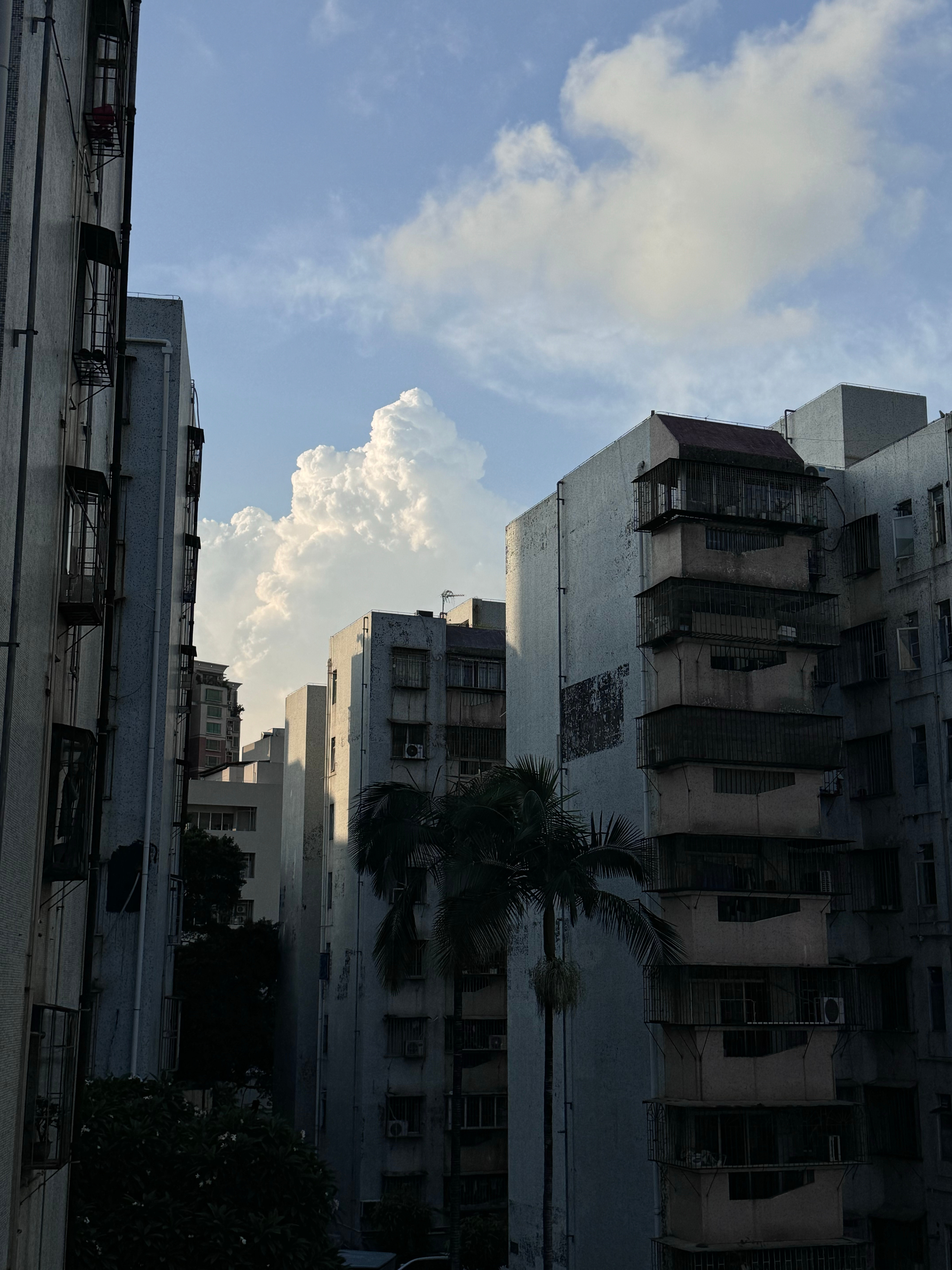 黑色七月快点结束吧 真的累了