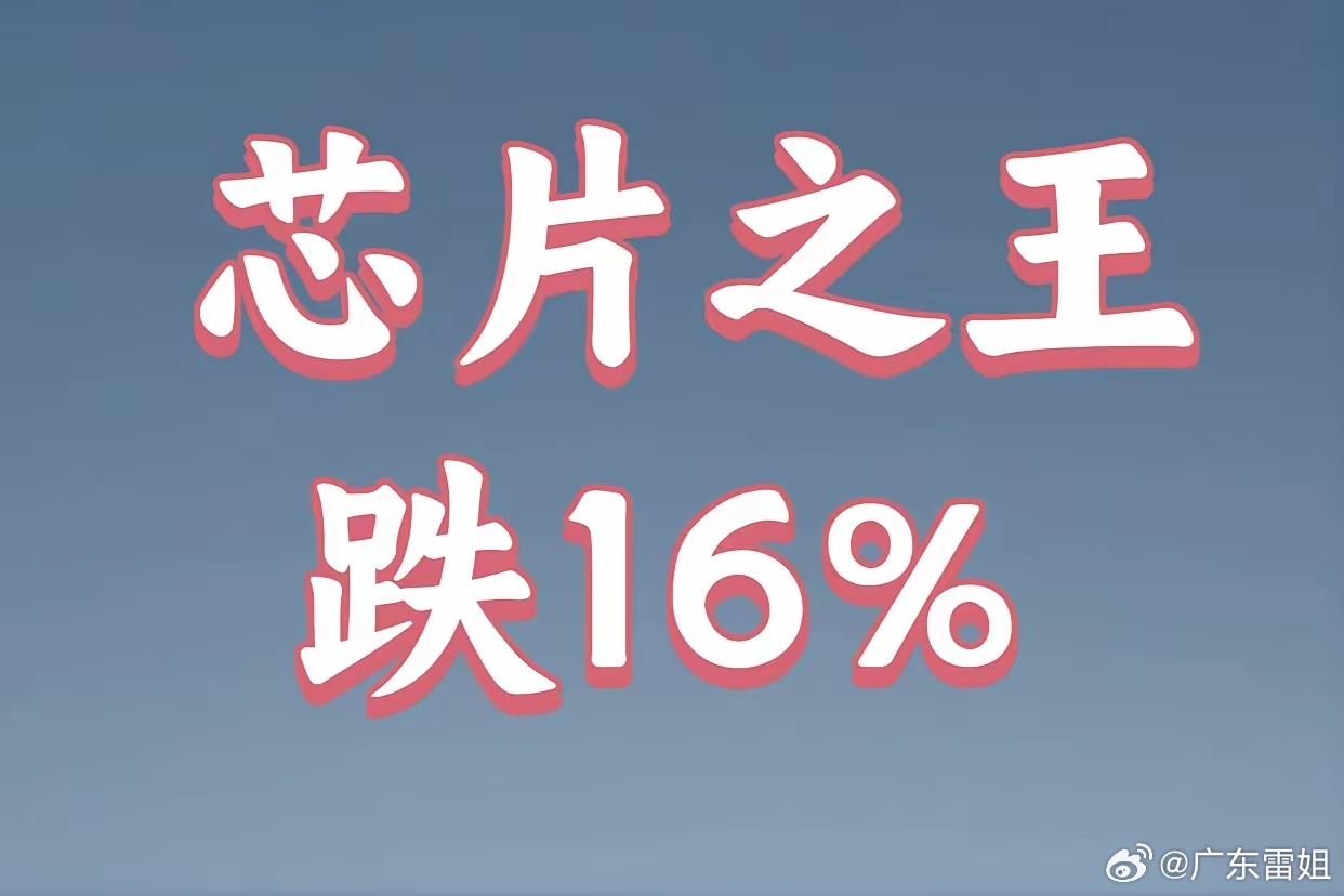 A股的芯片之王终于跌了。放量跌呀，一度跌了16%。开盘半小时成交量高达60亿，今