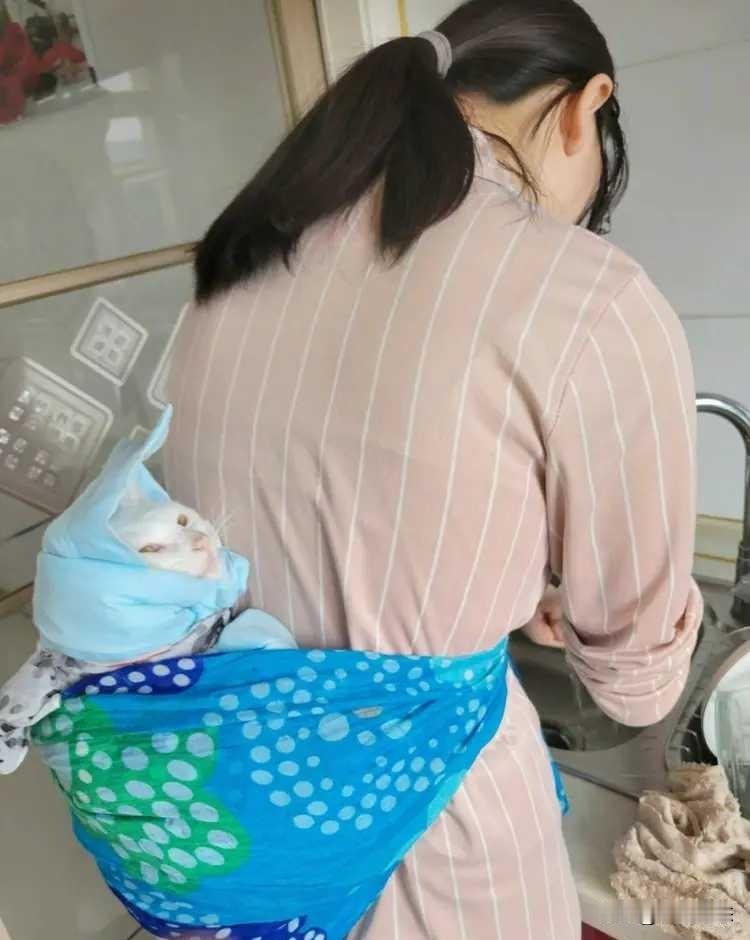 30岁侄女不婚不育，却把猫宠成孩子：是逃避责任还是重新定义家庭？

给猫买口粮、