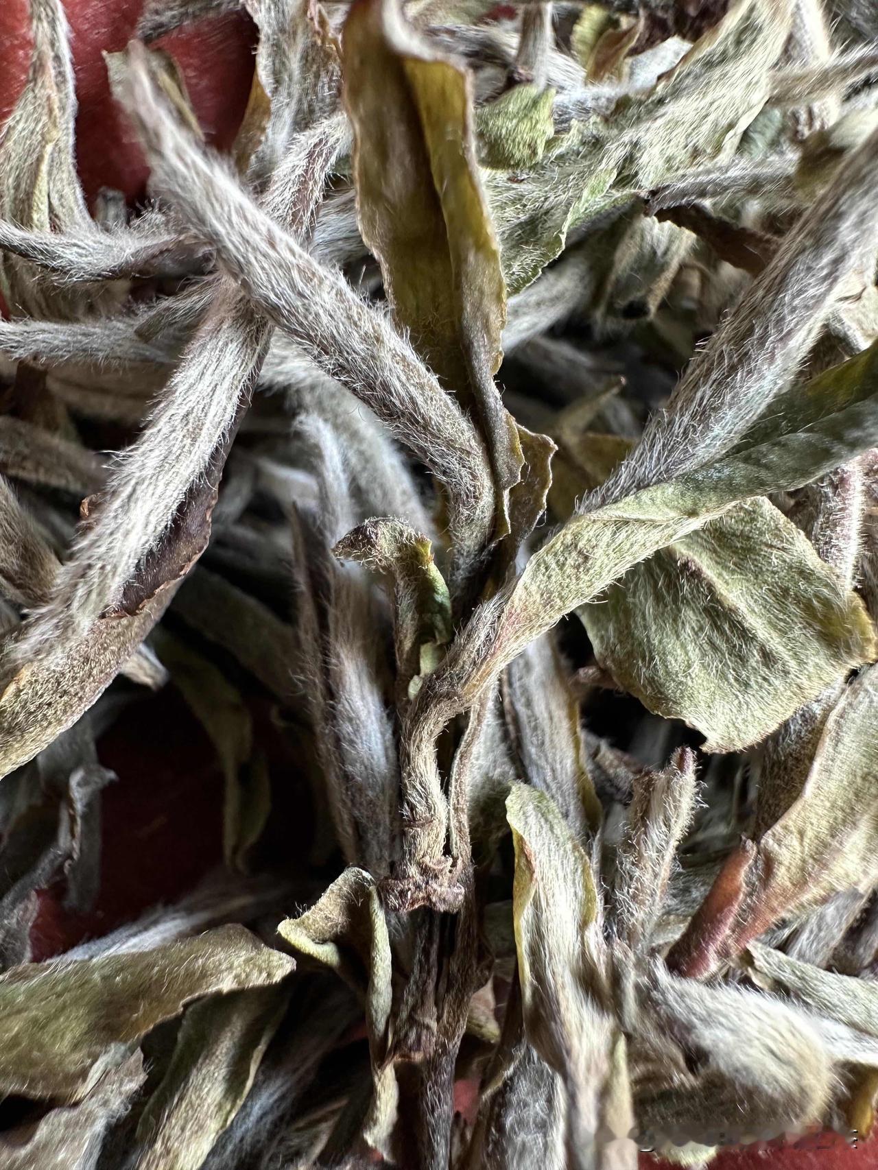 白茶转化慢是因为干度好？次品！
	
存储三年的白茶，茶汤、干茶的色泽都会有所变化
