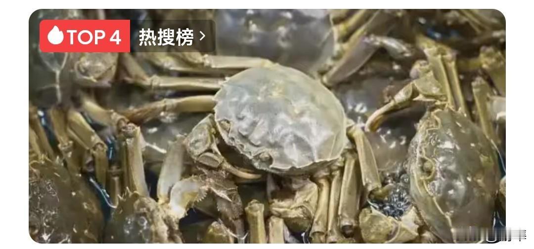 🦀 中国人的美味，为何成了欧美的噩梦？

大闸蟹在中国是餐桌珍馐，到了欧美却成