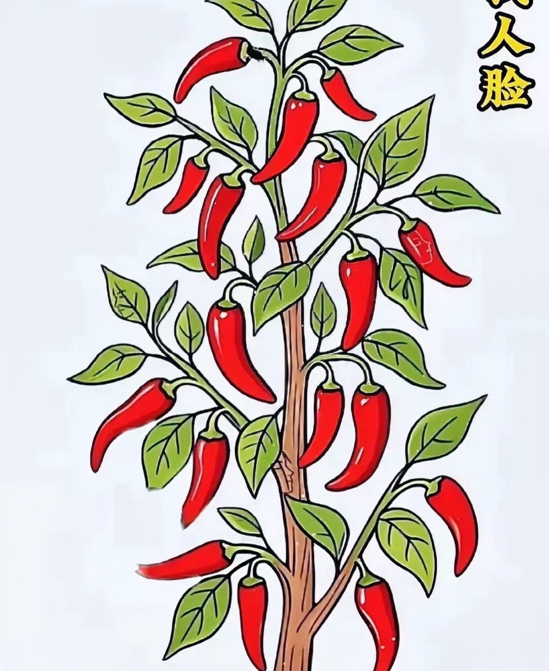下面这张图，隐藏了3张人脸，我放大后，一下子找到了，你也来试试吧！非常有趣。图片