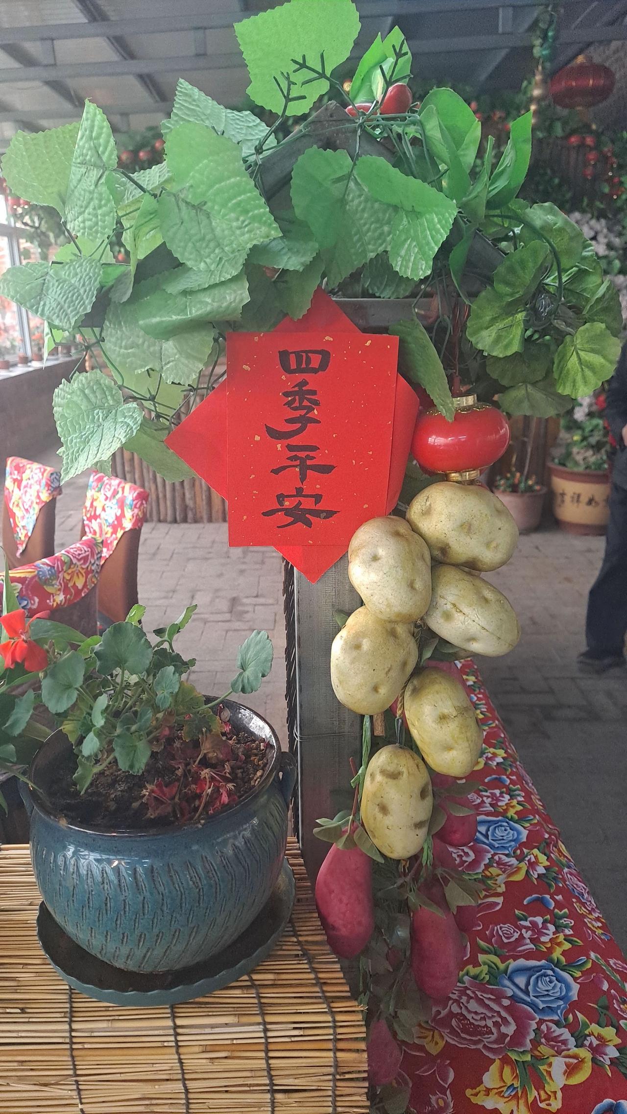 美好的一天从清晨开始 接地气
