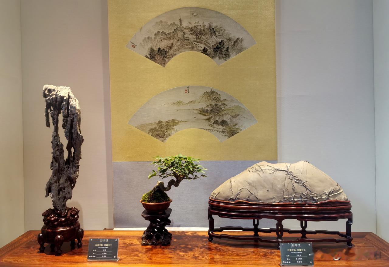 苏州狮子林雅石展（上）狮子林赏石展 五彩石狮子 苏州石图 苏州园林奇石 大理石石