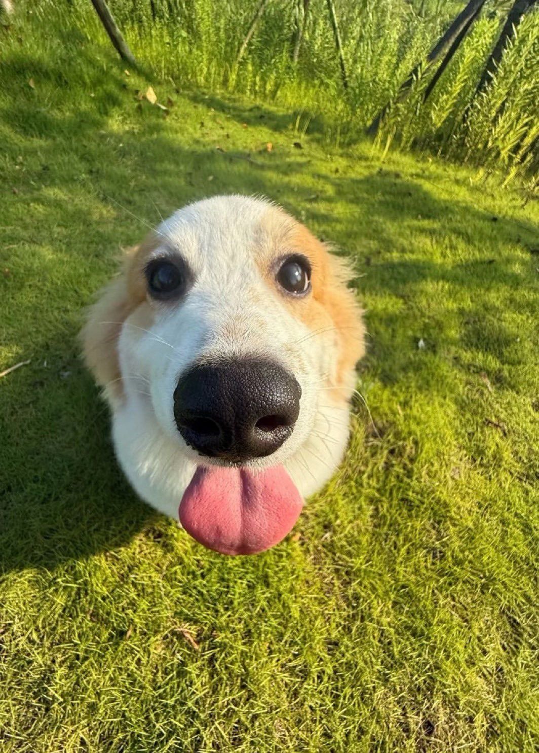 bro is😛meme ​​​