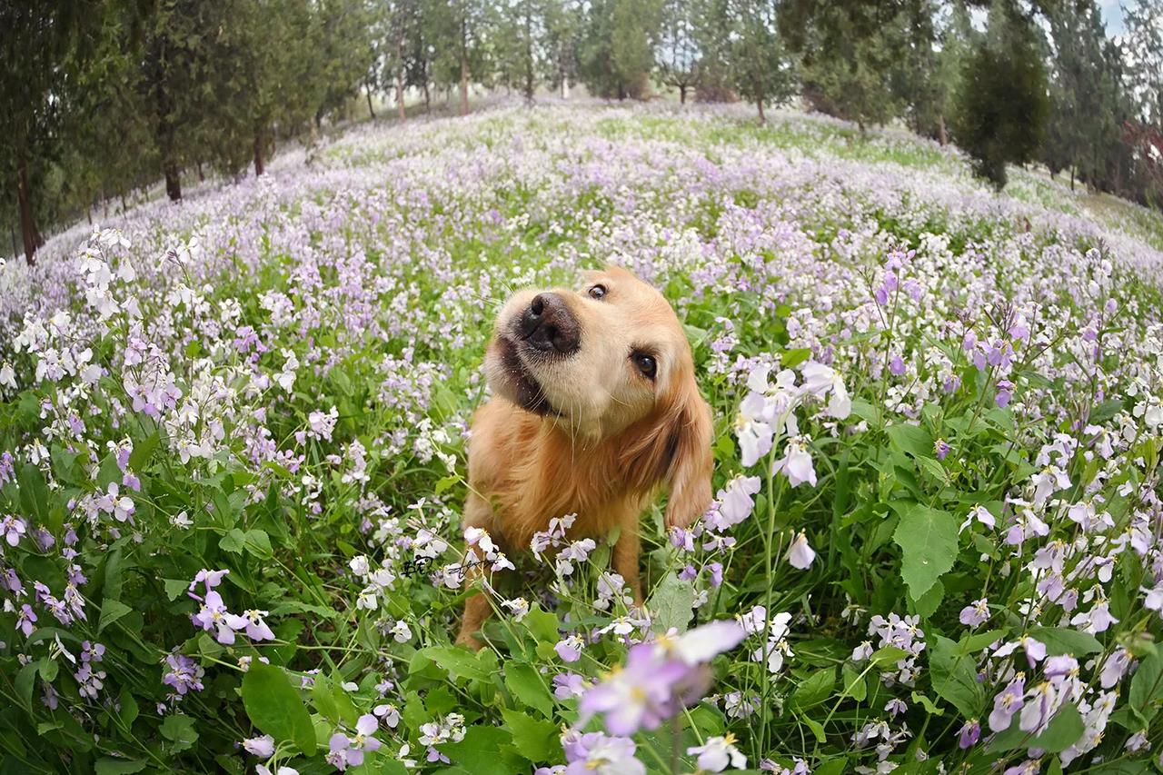 Wow，wow，wow
这么多孩子是一家，得多开心啊😍
【花季拍摄】