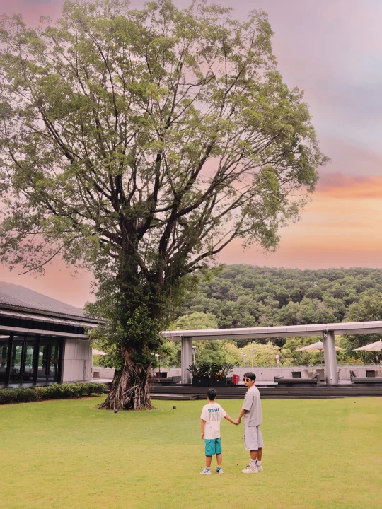住进广州白云山畔🌿 偷得时光半日闲🏠