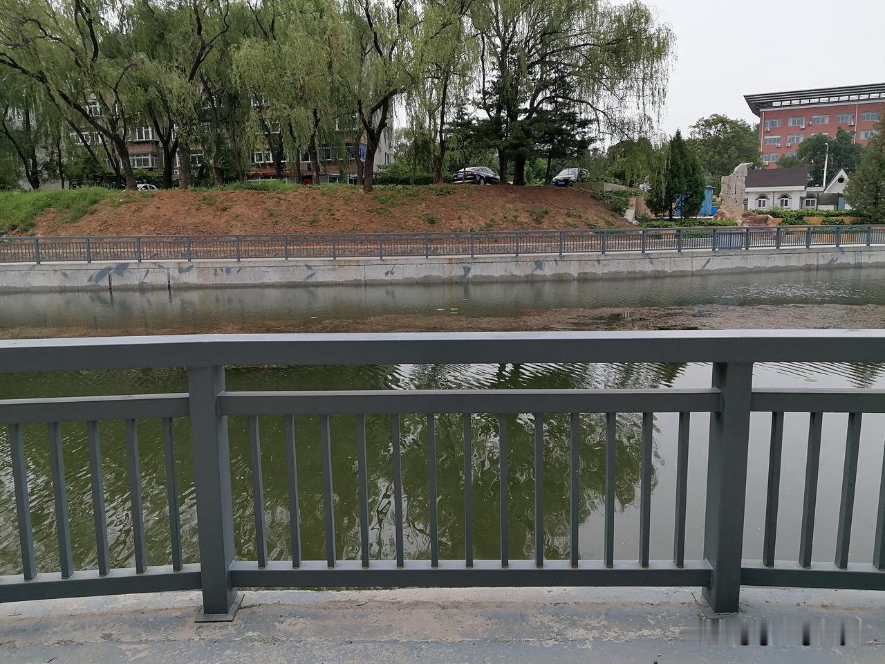 今天盘面，超跌科技股小登受外面刺激反弹了，多个小登封板，可这边大登几个指标股调正