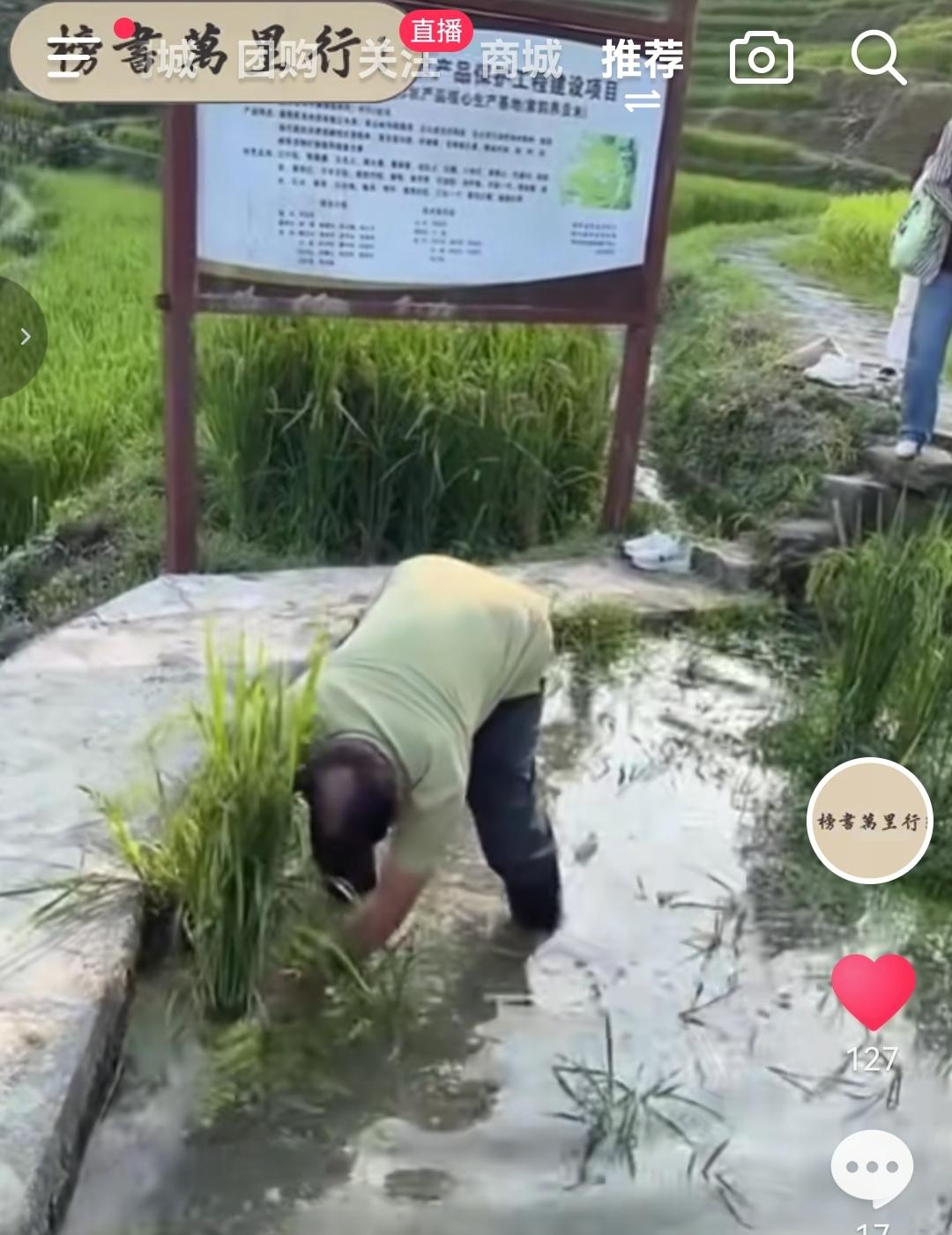 沈巍假装摸鱼！
沈巍这辈子估计还真没杀过生，没有杀过鱼、杀过鸡，但如果你非要说他