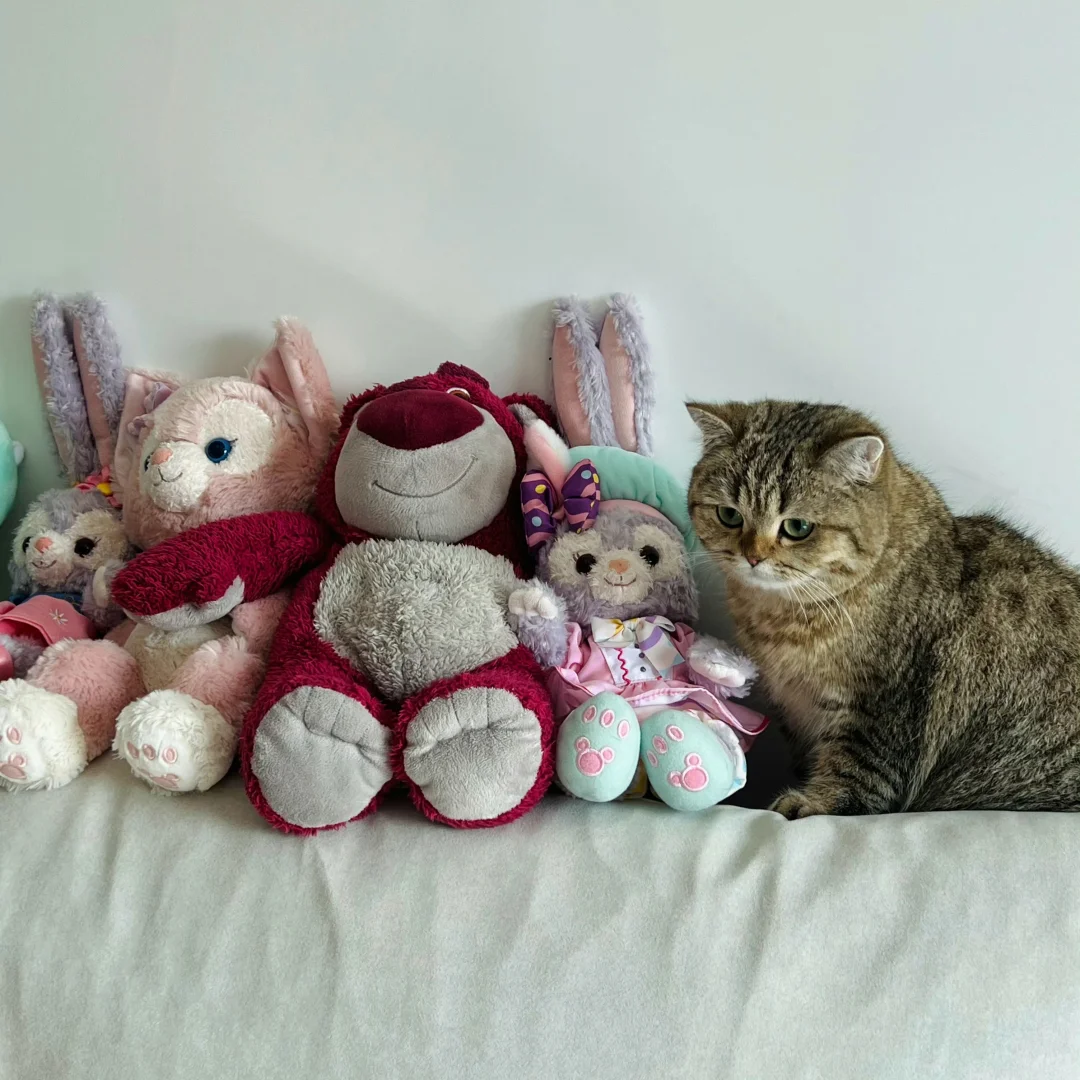 想去迪斯尼打工的小猫