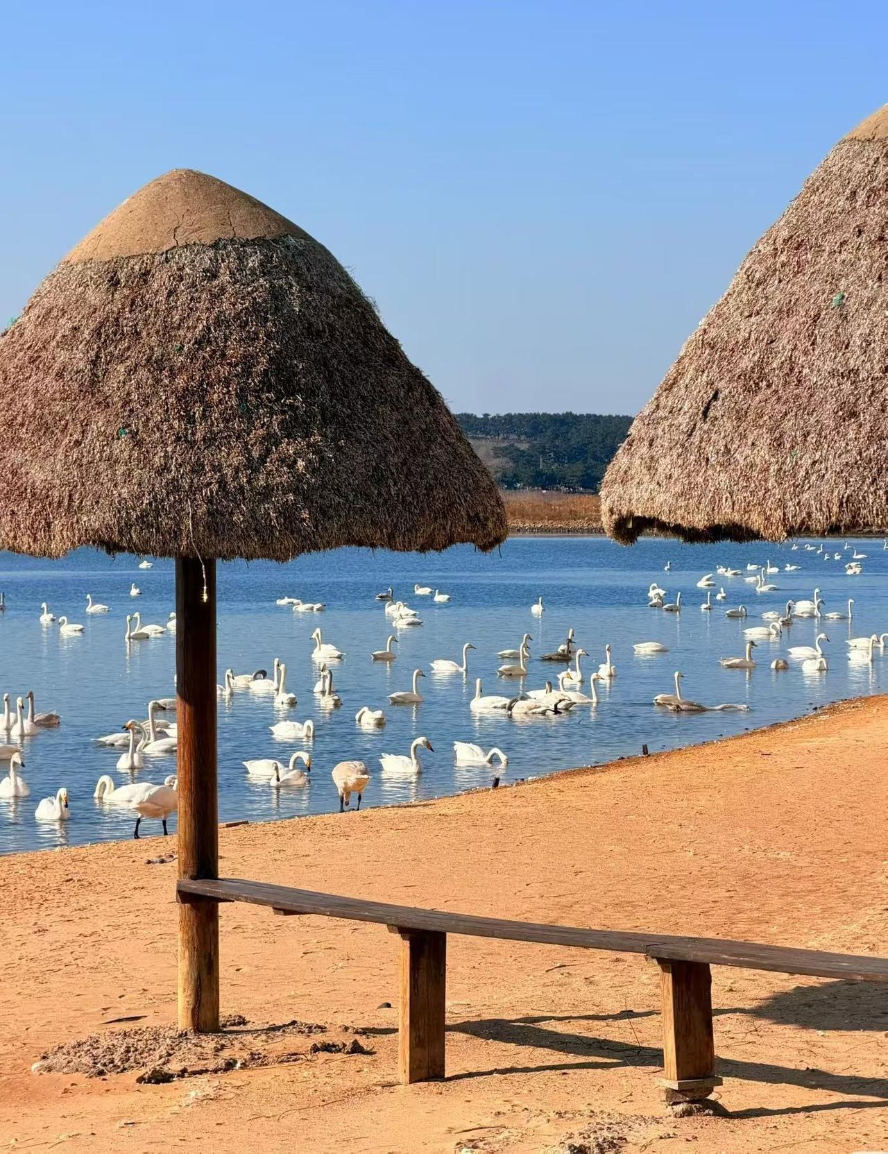 爱家人，家人幸福安康，和睦快乐，是毕生追求的目标。