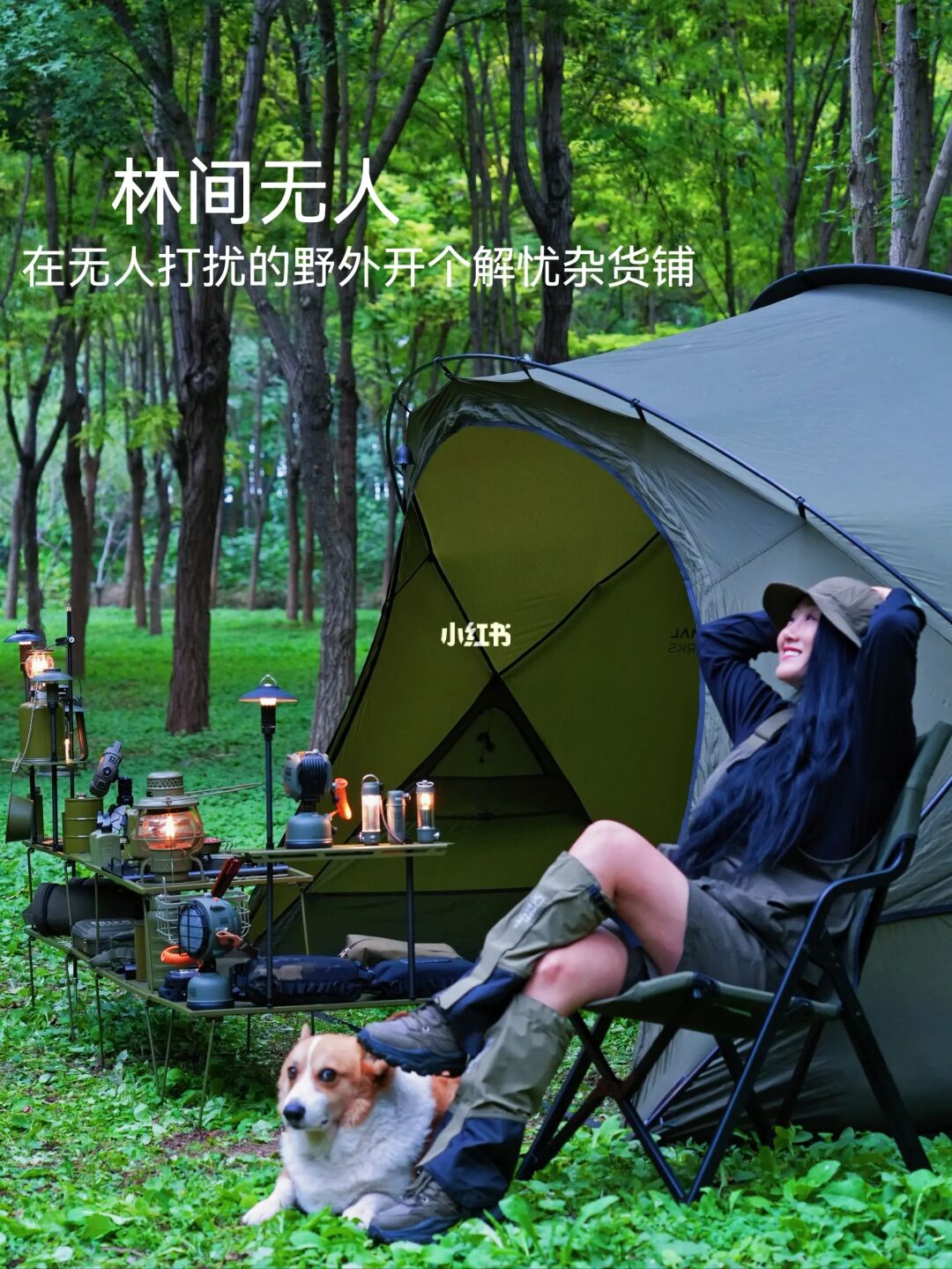 怎么办这个近郊的林子这么好看还没人😊